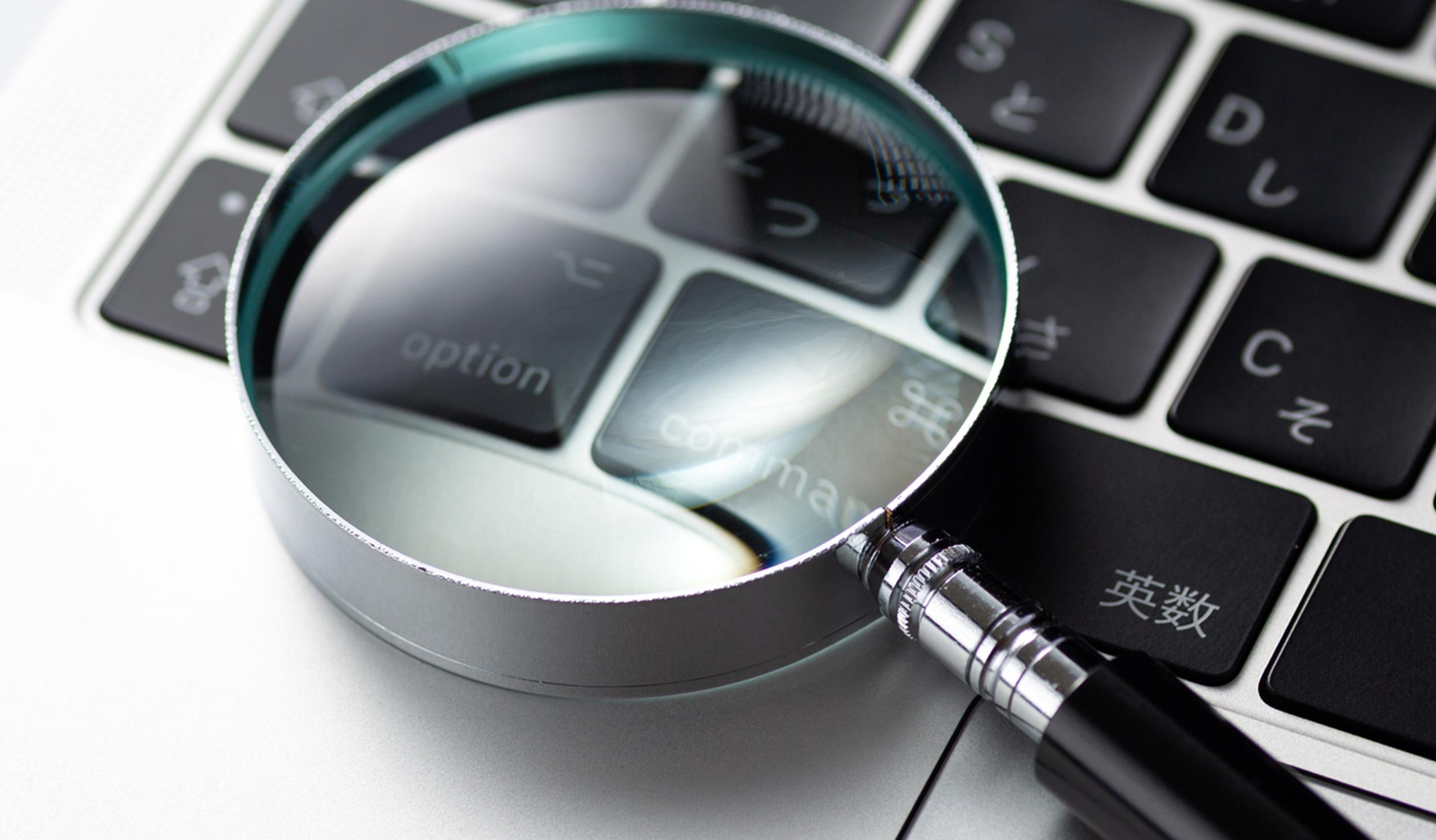 事業内容 - 株式会社 FORTUNA