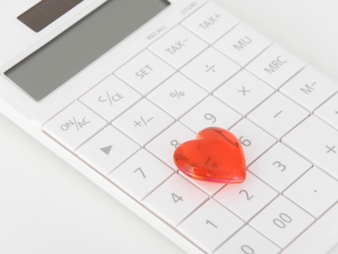 事業内容 - 株式会社 FORTUNA