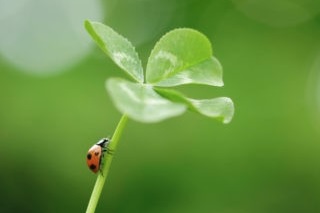 IMG_5849-upload-o2fny6qA