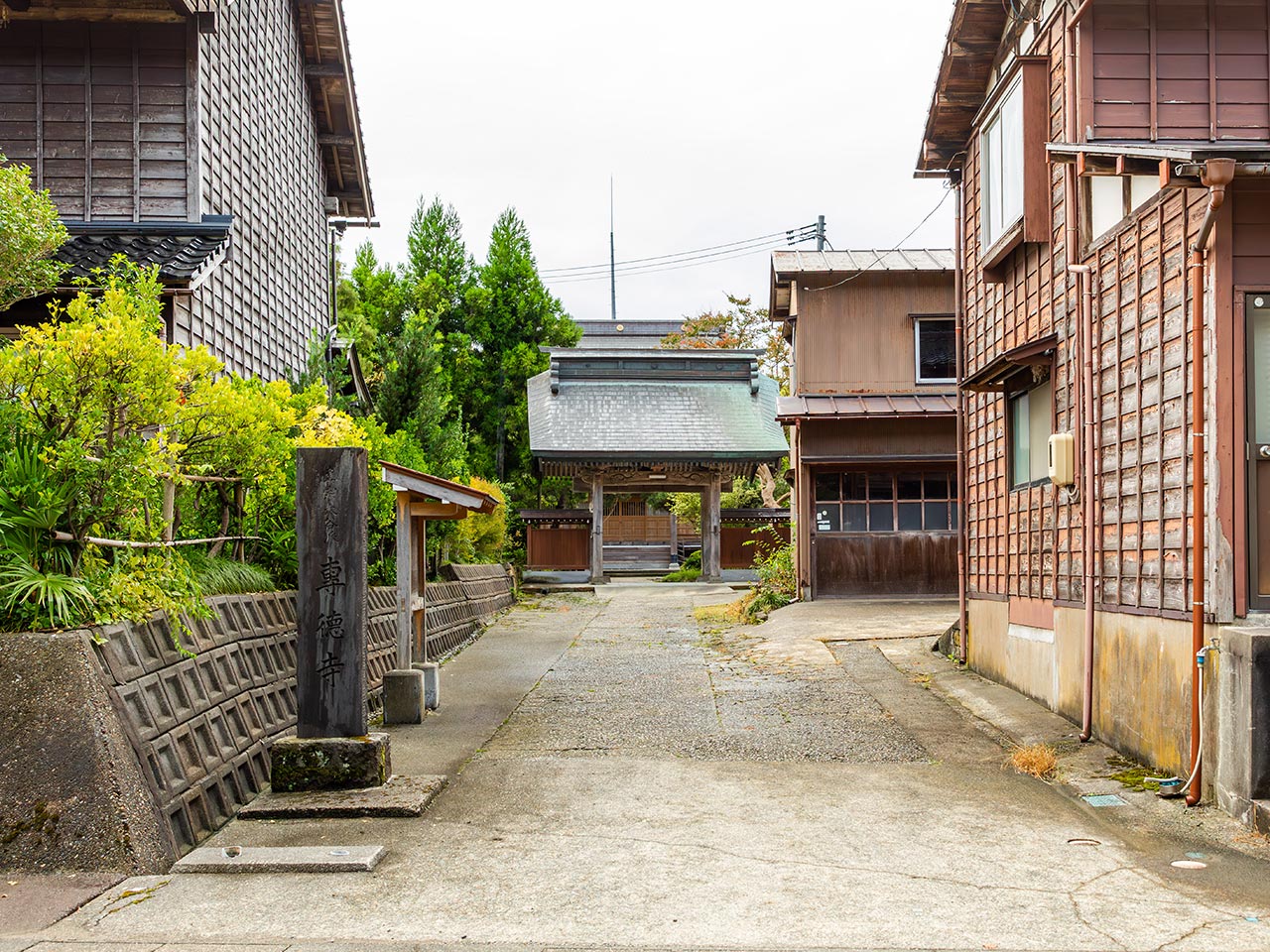 歴史の権威性と安心感 - 専徳寺