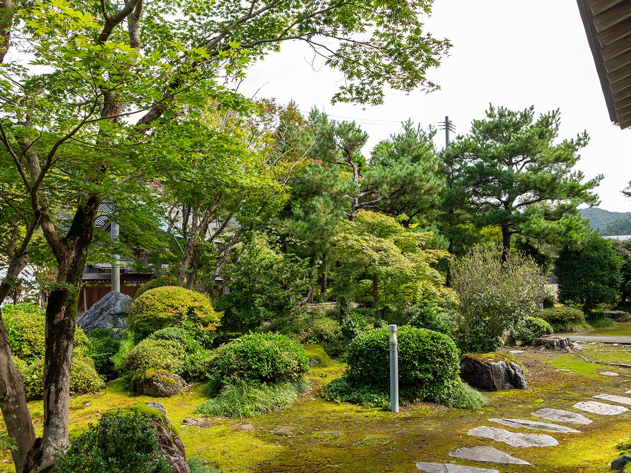 歴史の権威性と安心感 - 専徳寺