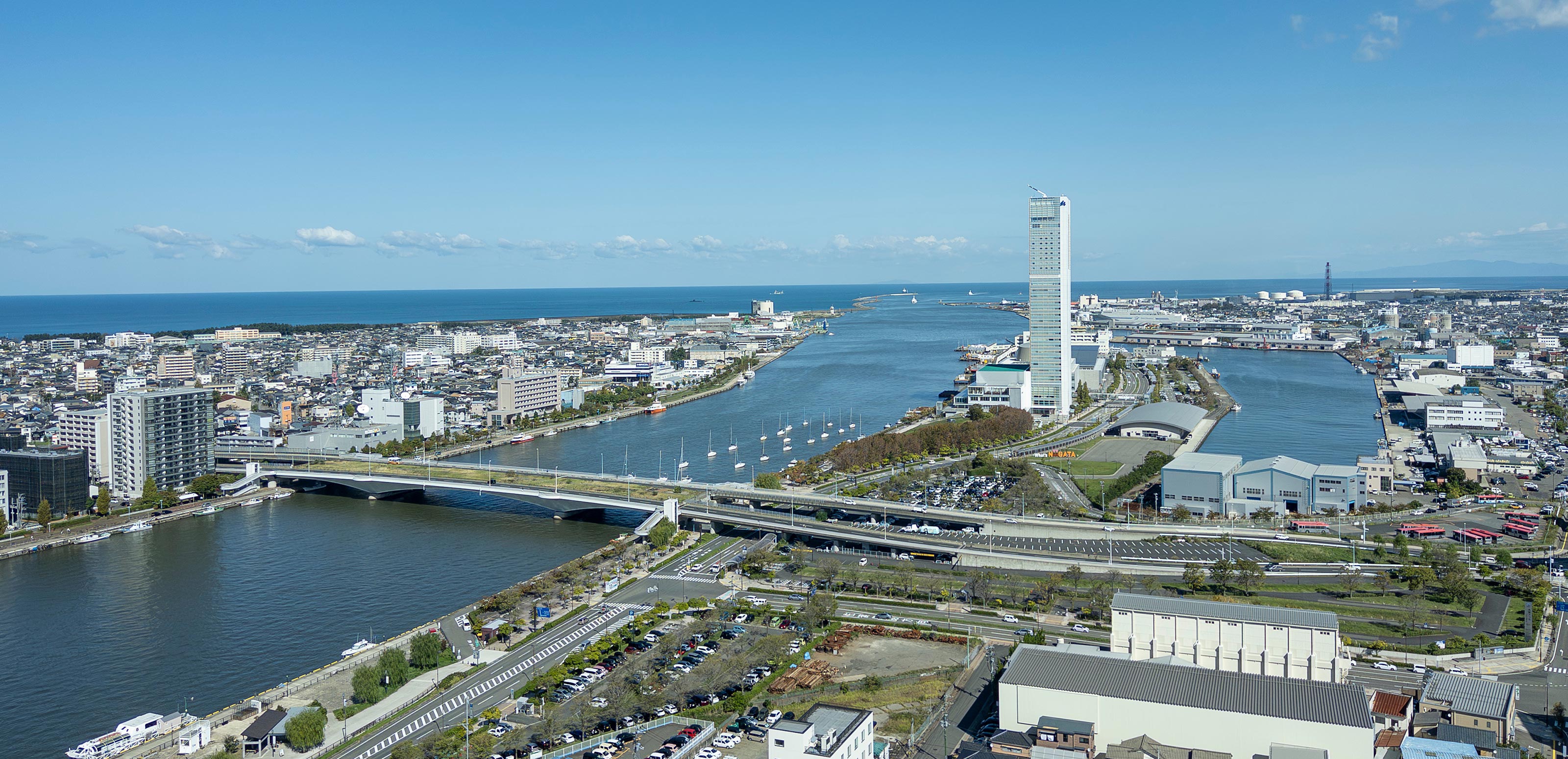 デザイン制作 - 株式会社 NEEL