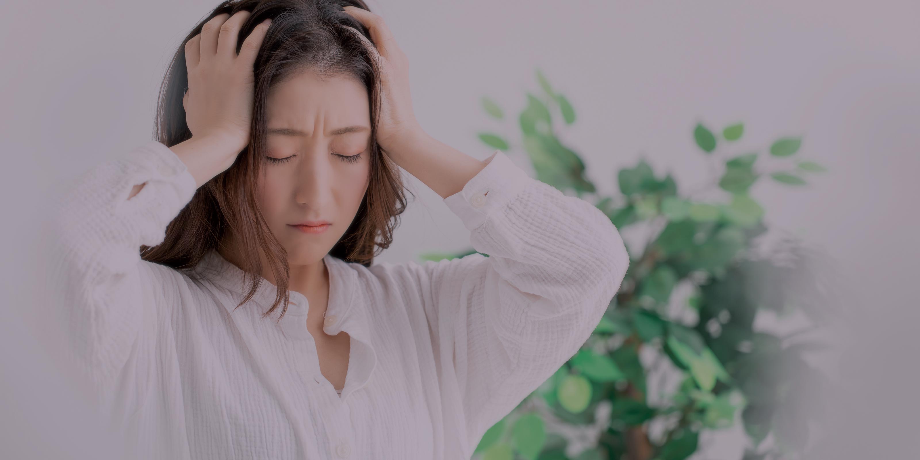 ハウスクリーニング - おそうじ本舗 弘前中央店