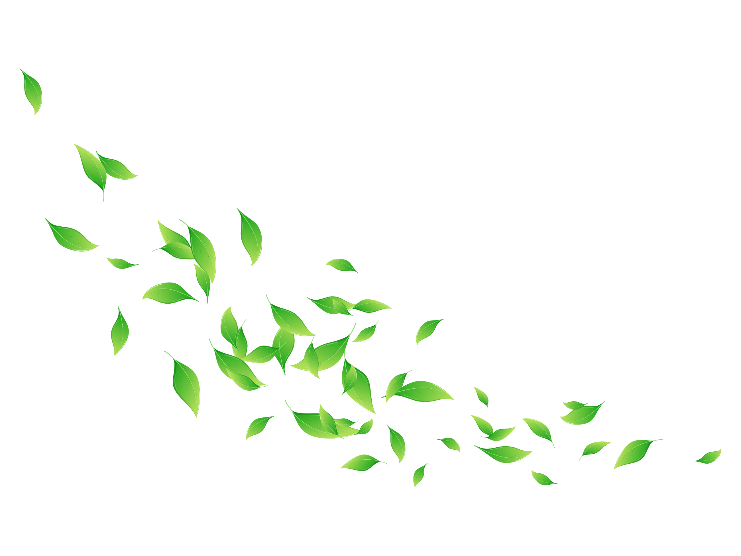 マタニティ整体 - ナチュラルボディー整体院