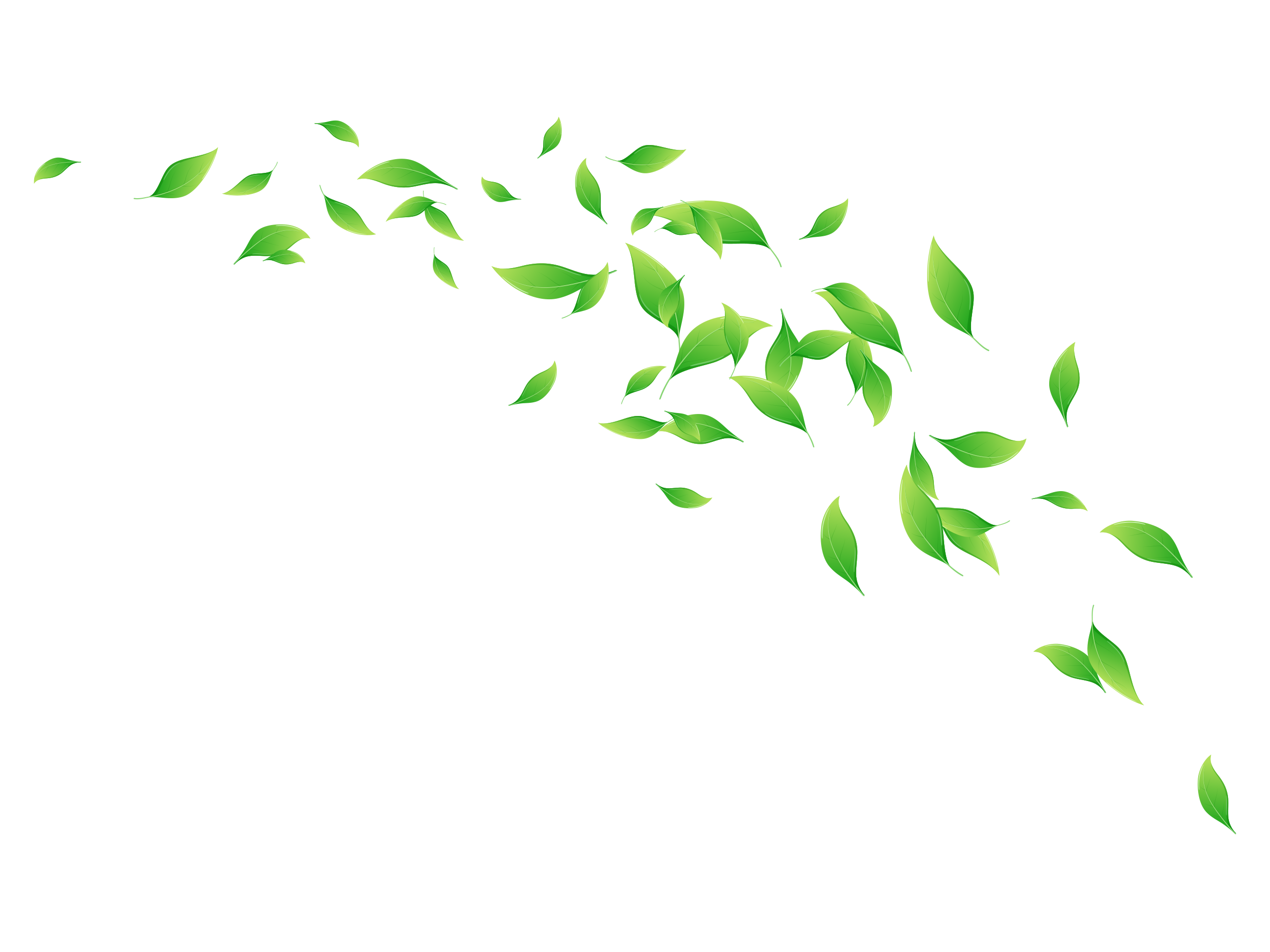 マタニティ整体 - ナチュラルボディー整体院