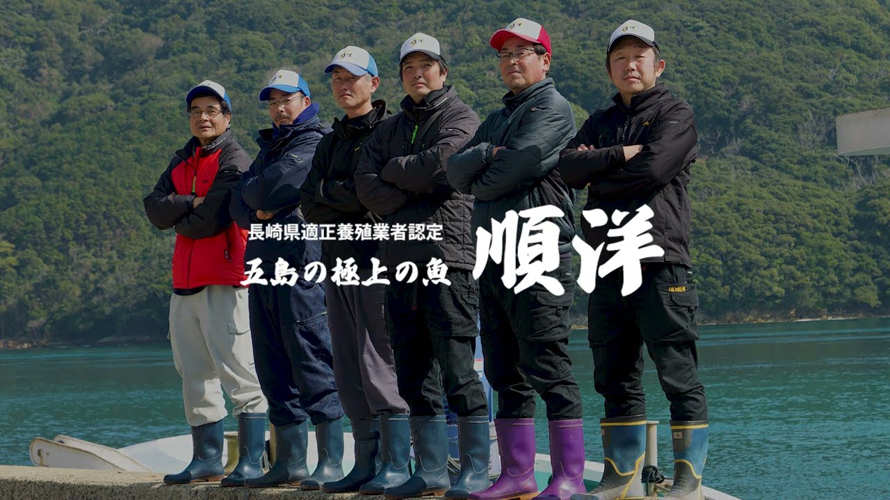 動画制作 - 動画制作DOUGAYA