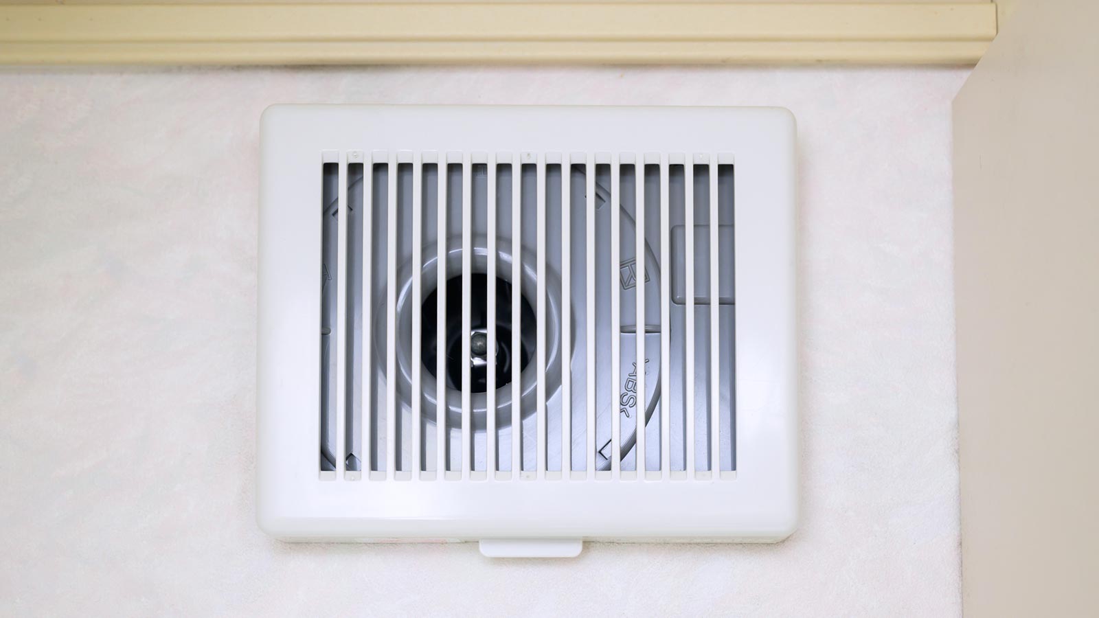 個人のお客様 - 株式会社IPP