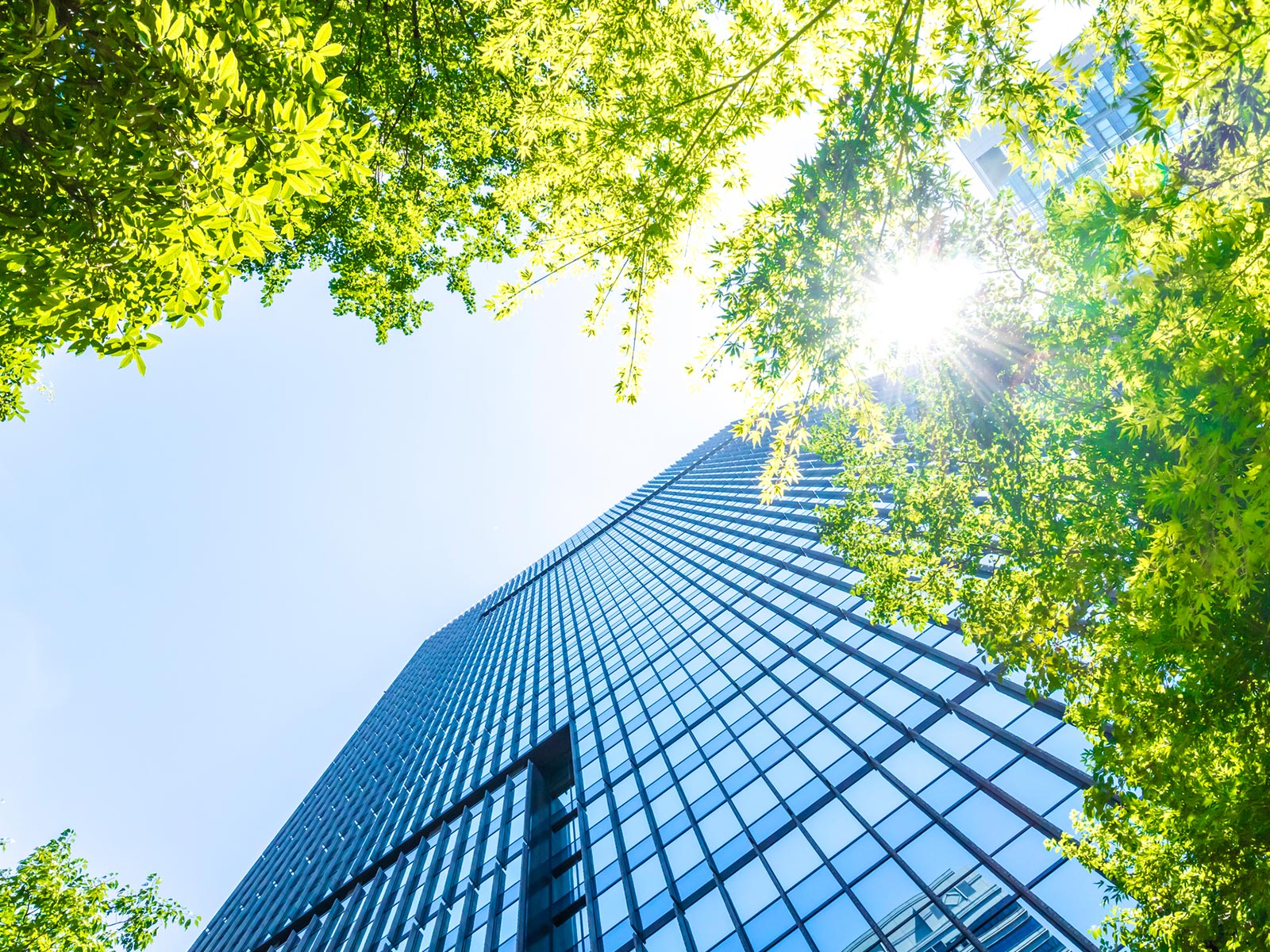 労務相談 - 髙橋佳子社会保険労務士事務所