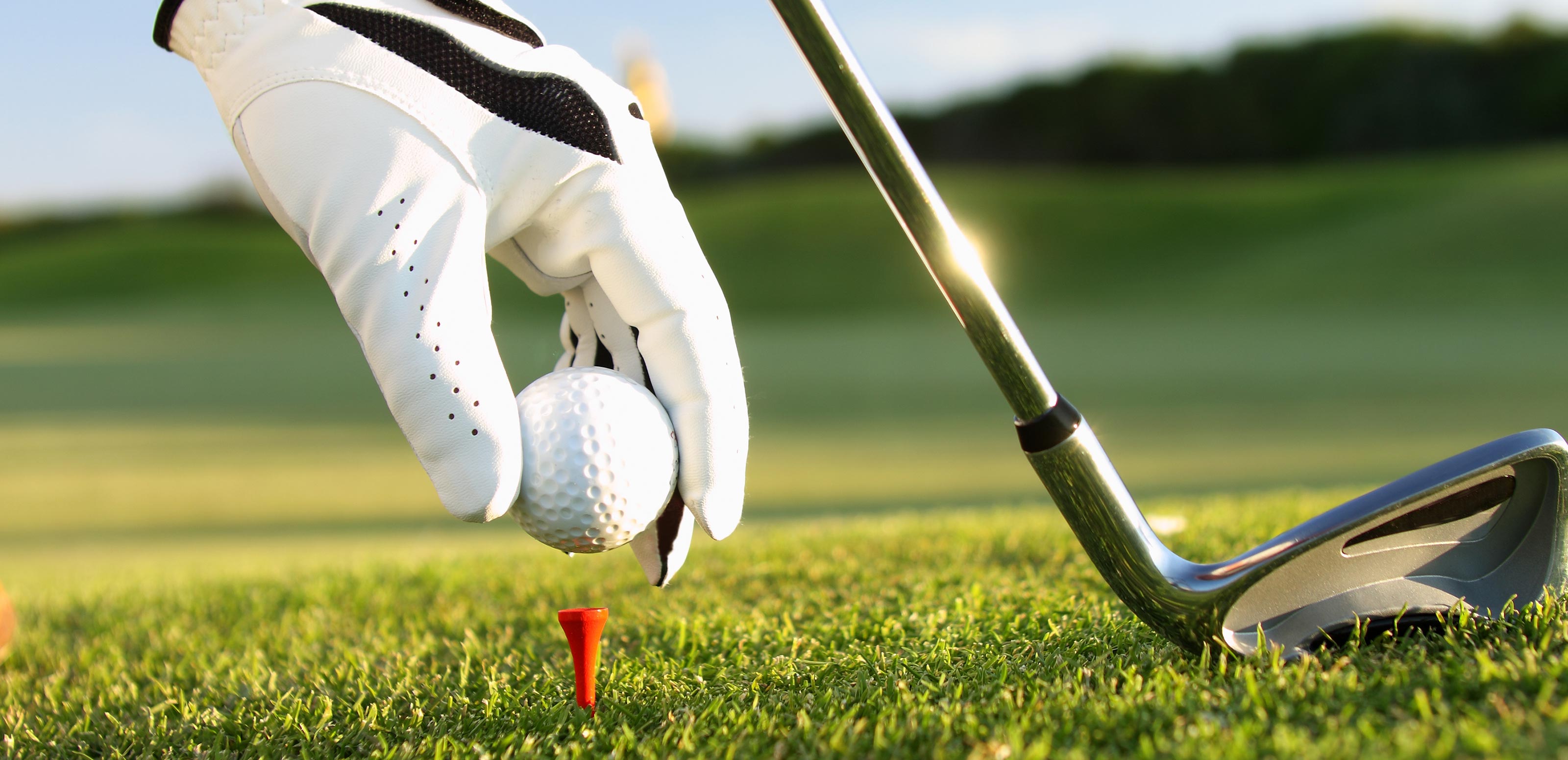 TOP - リバーフィールドマネジメント株式会社