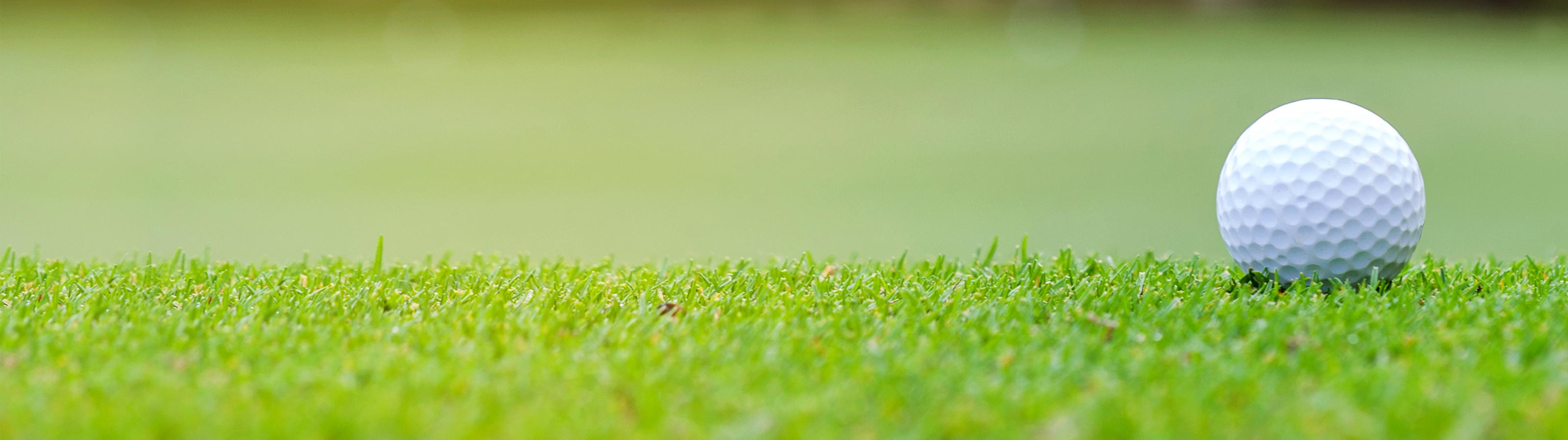 会社概要 - リバーフィールドマネジメント株式会社