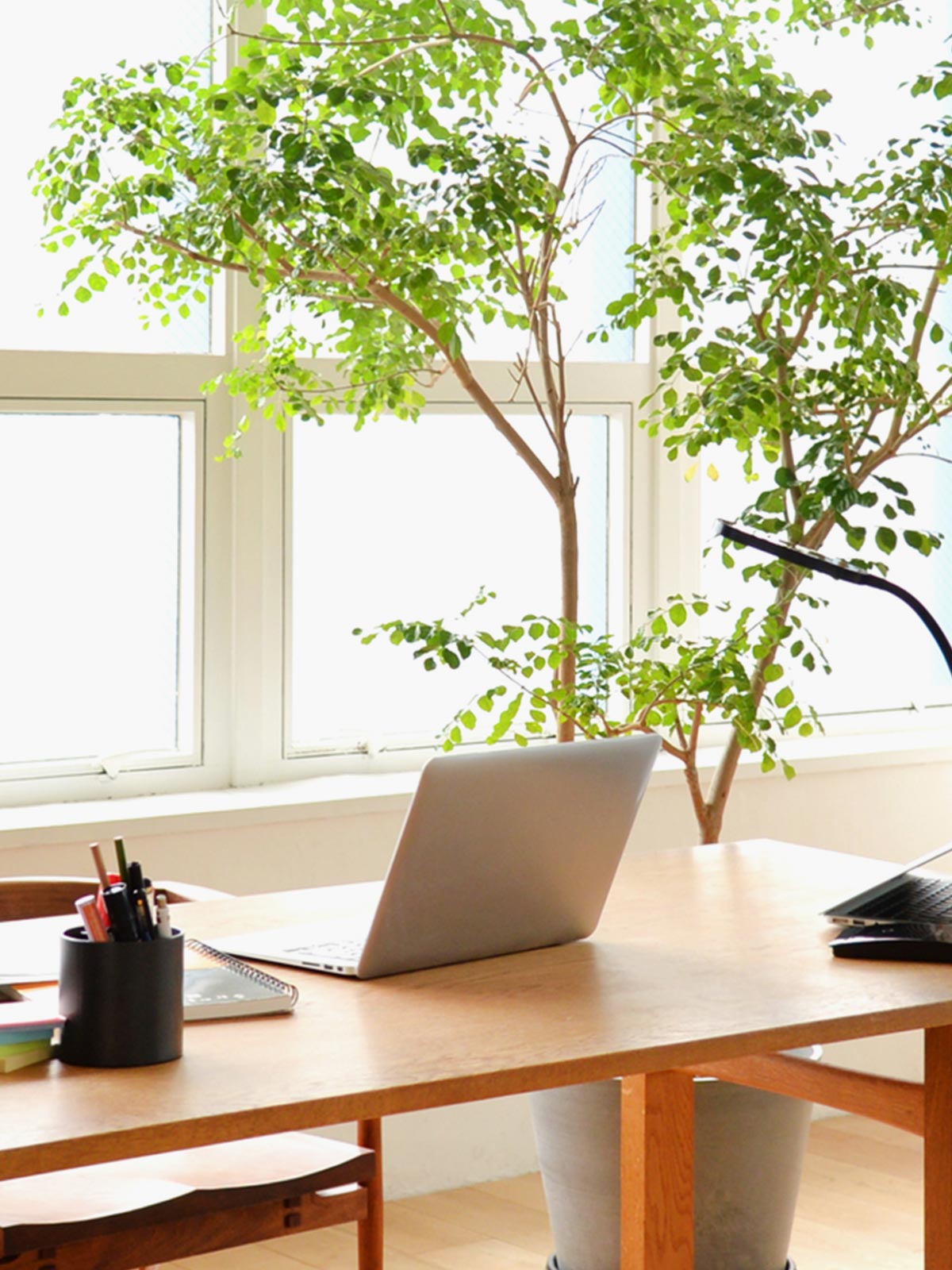 司法書士事務所 - 柿沼真由子司法書士事務所