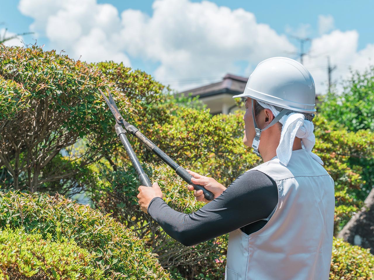 サービス内容 - 株式会社竹井造園