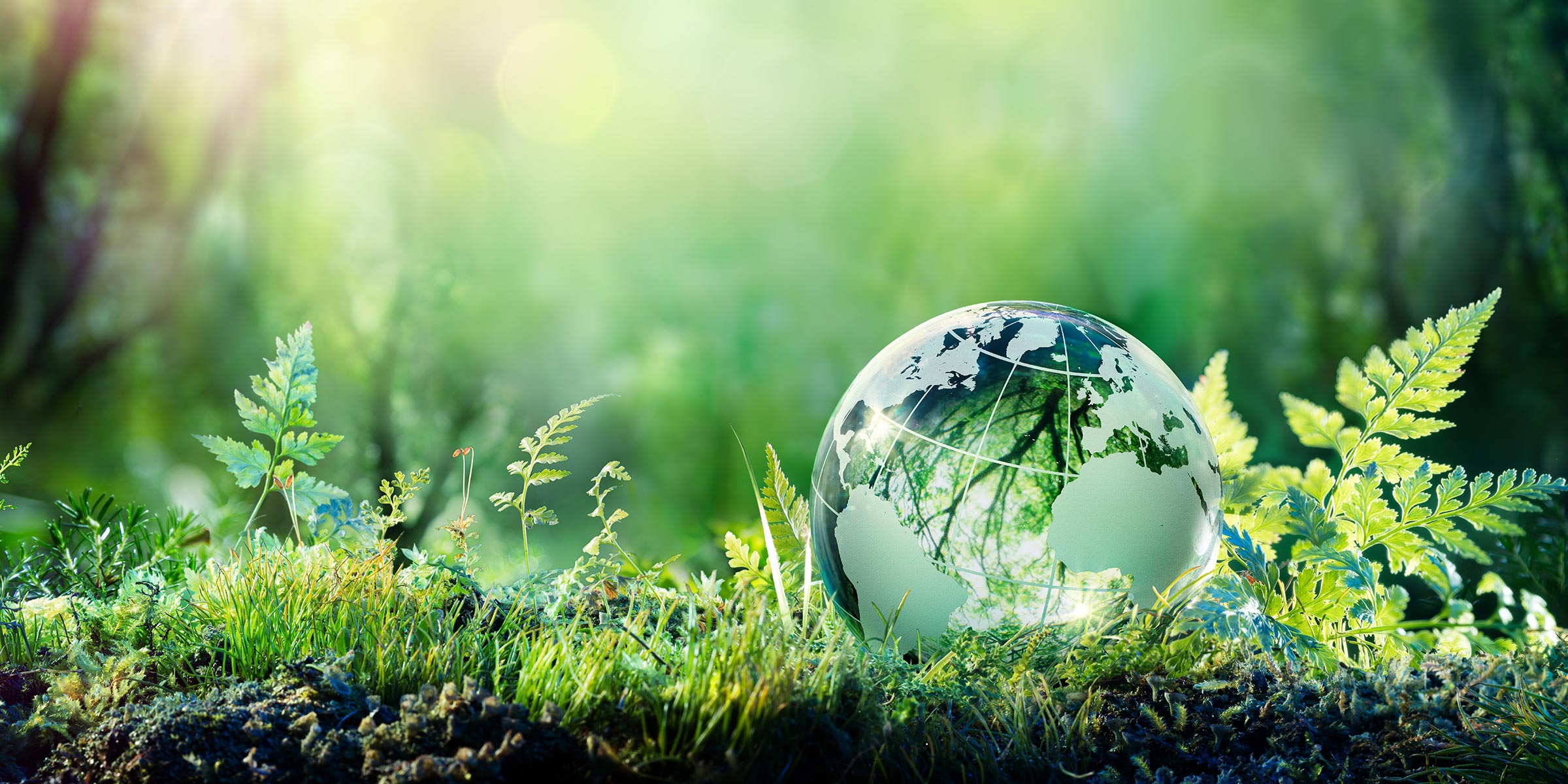 遺品整理・生前整理 - INEXUS株式会社