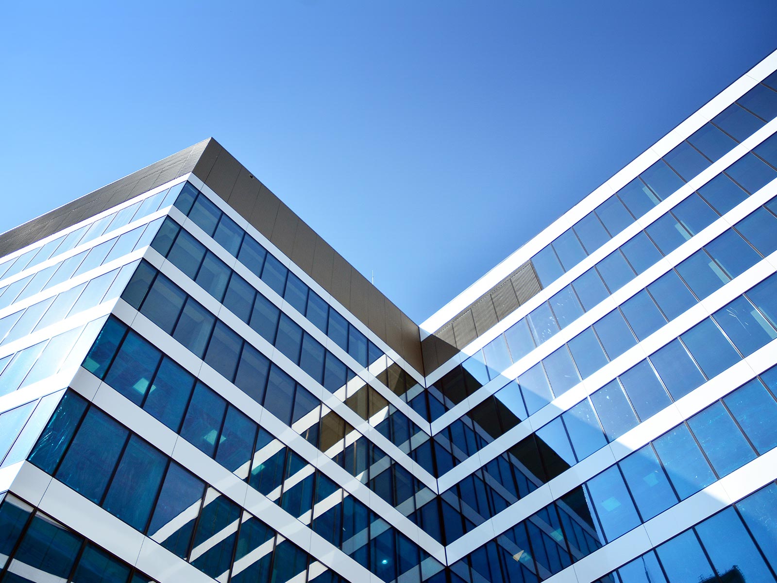 動画制作 - グリズリーカンパニー株式会社