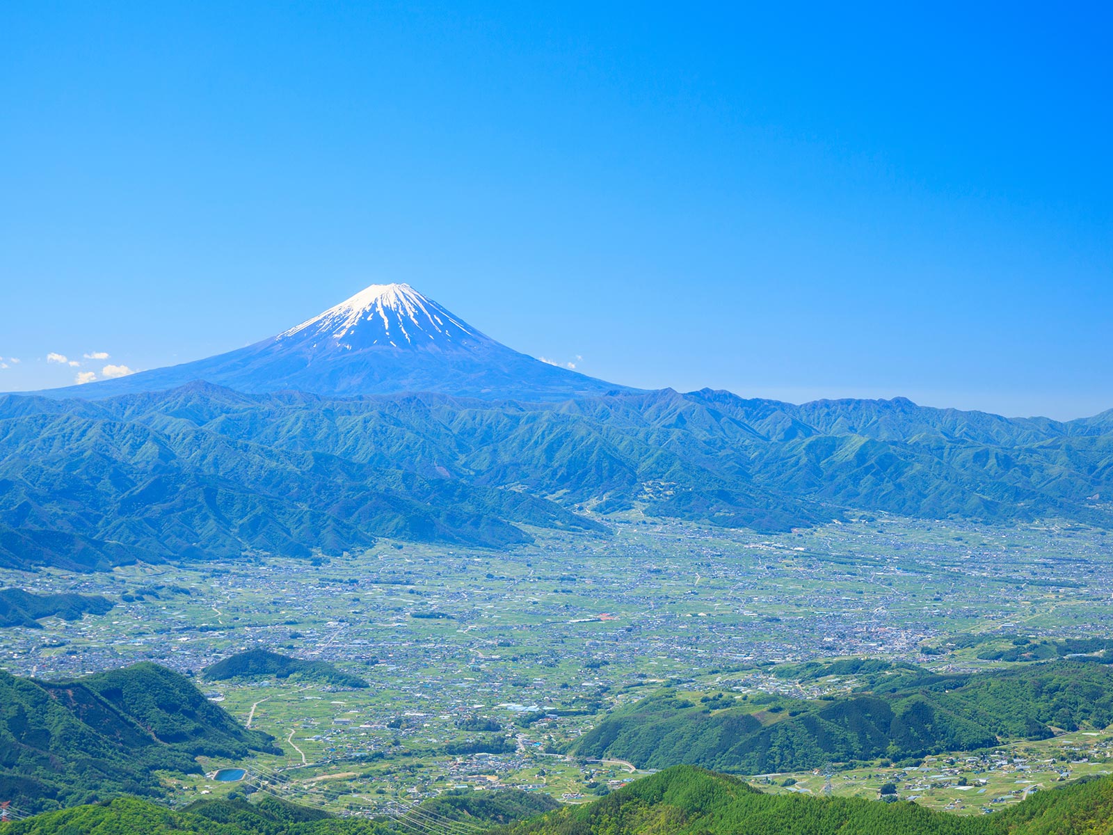 動画制作 - グリズリーカンパニー株式会社