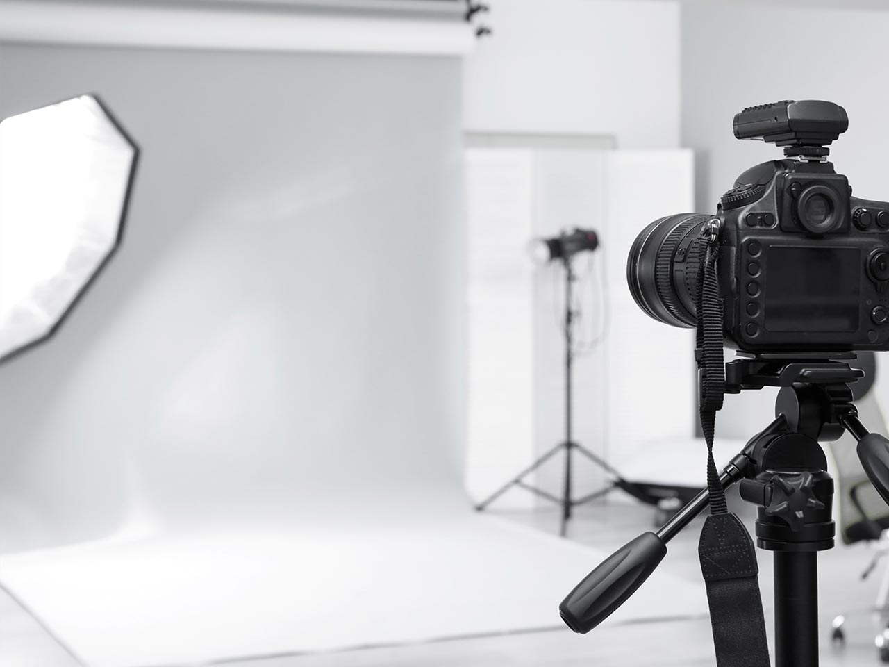 サービス紹介 - グリズリーカンパニー株式会社