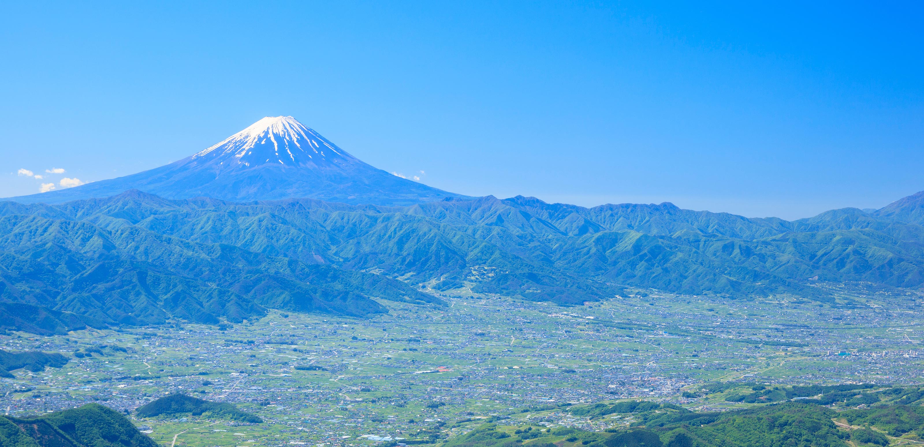 信頼と実績 - グリズリーカンパニー株式会社