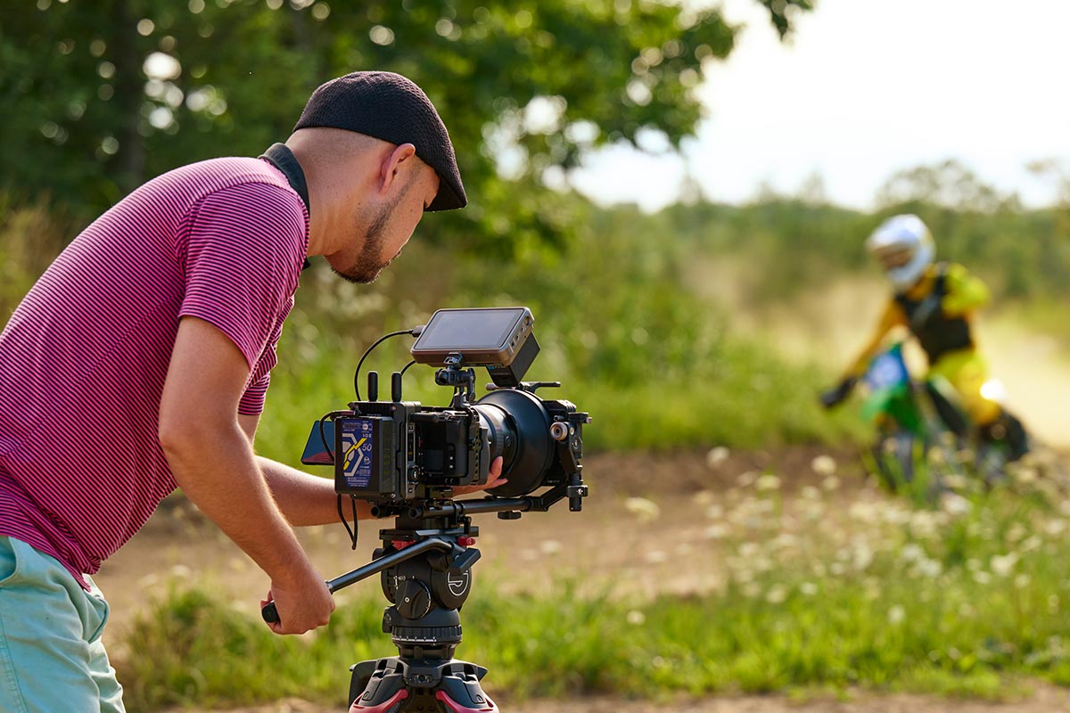 私たちの想い - カメレオン