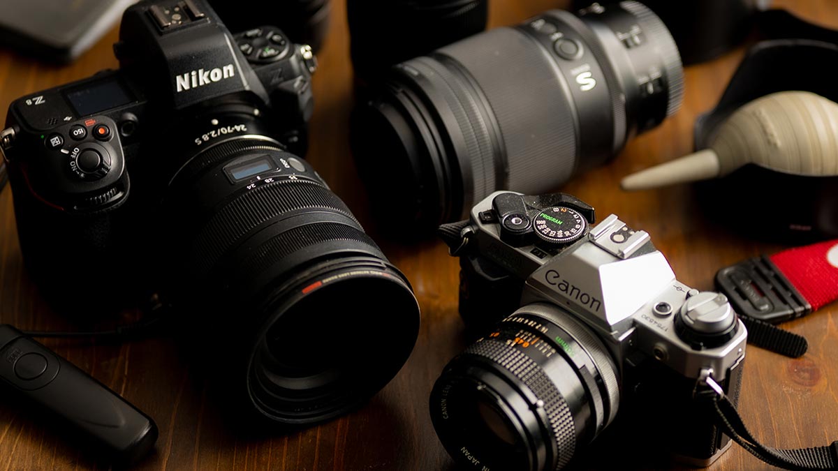 私たちの想い - カメレオン