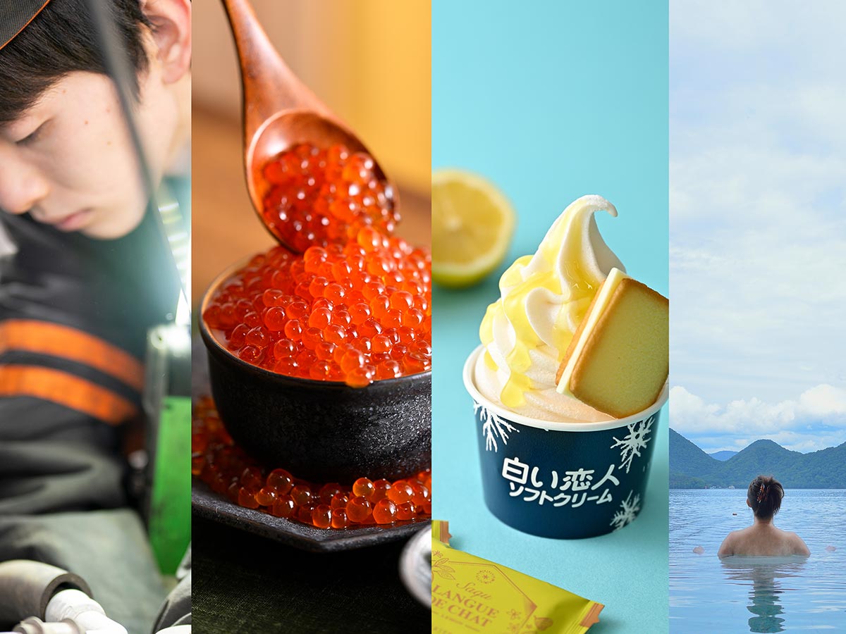 TOP - カメレオン