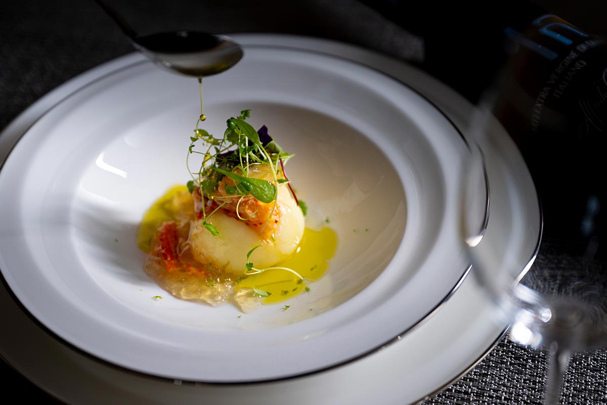 TOP - カメレオン