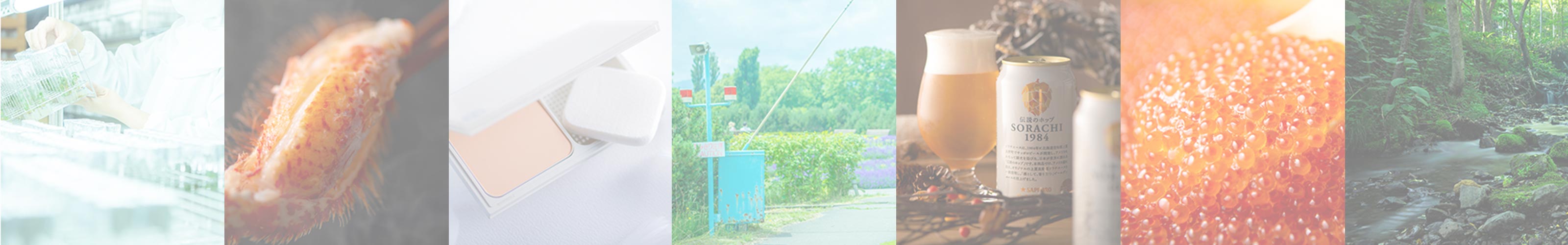 私たちの想い - カメレオン