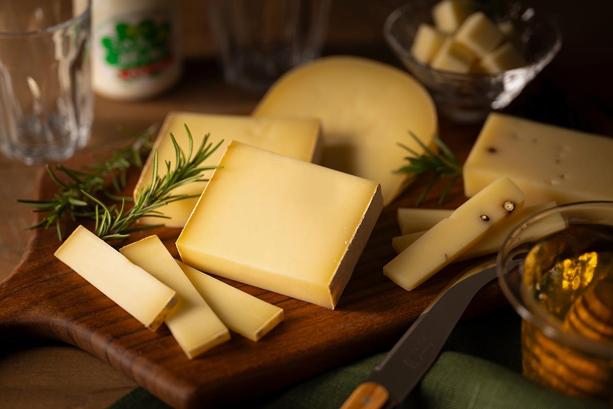 TOP - カメレオン