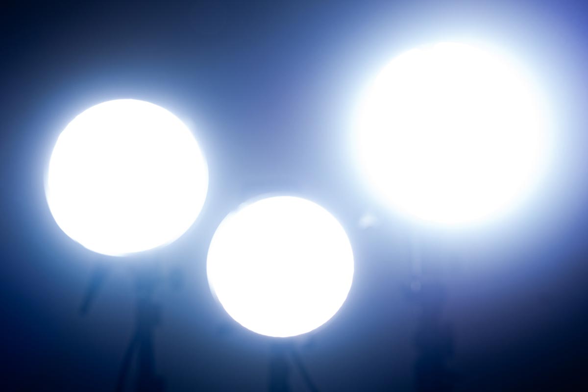 TOP - カメレオン