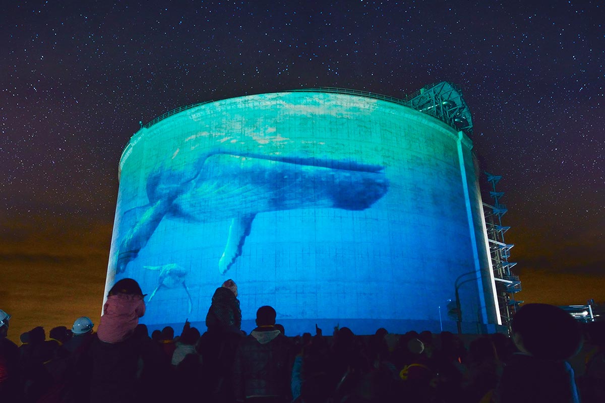 TOP - カメレオン