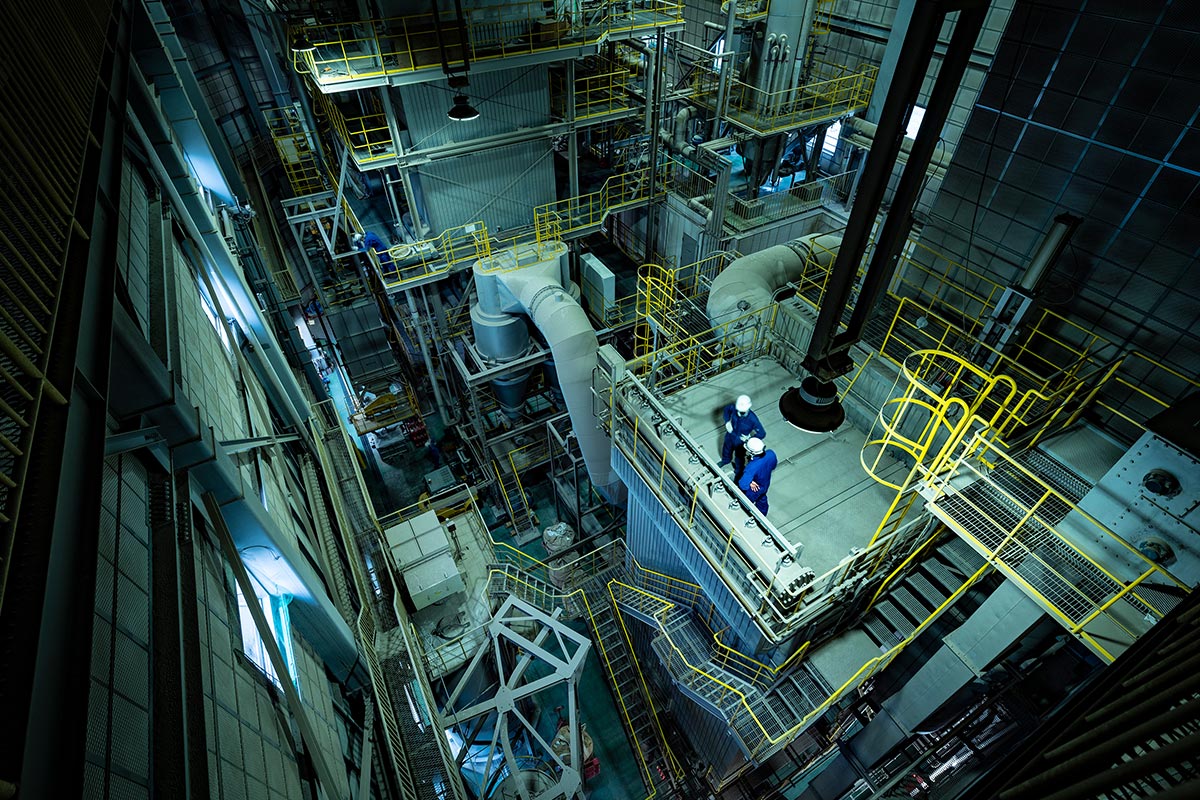 TOP - カメレオン