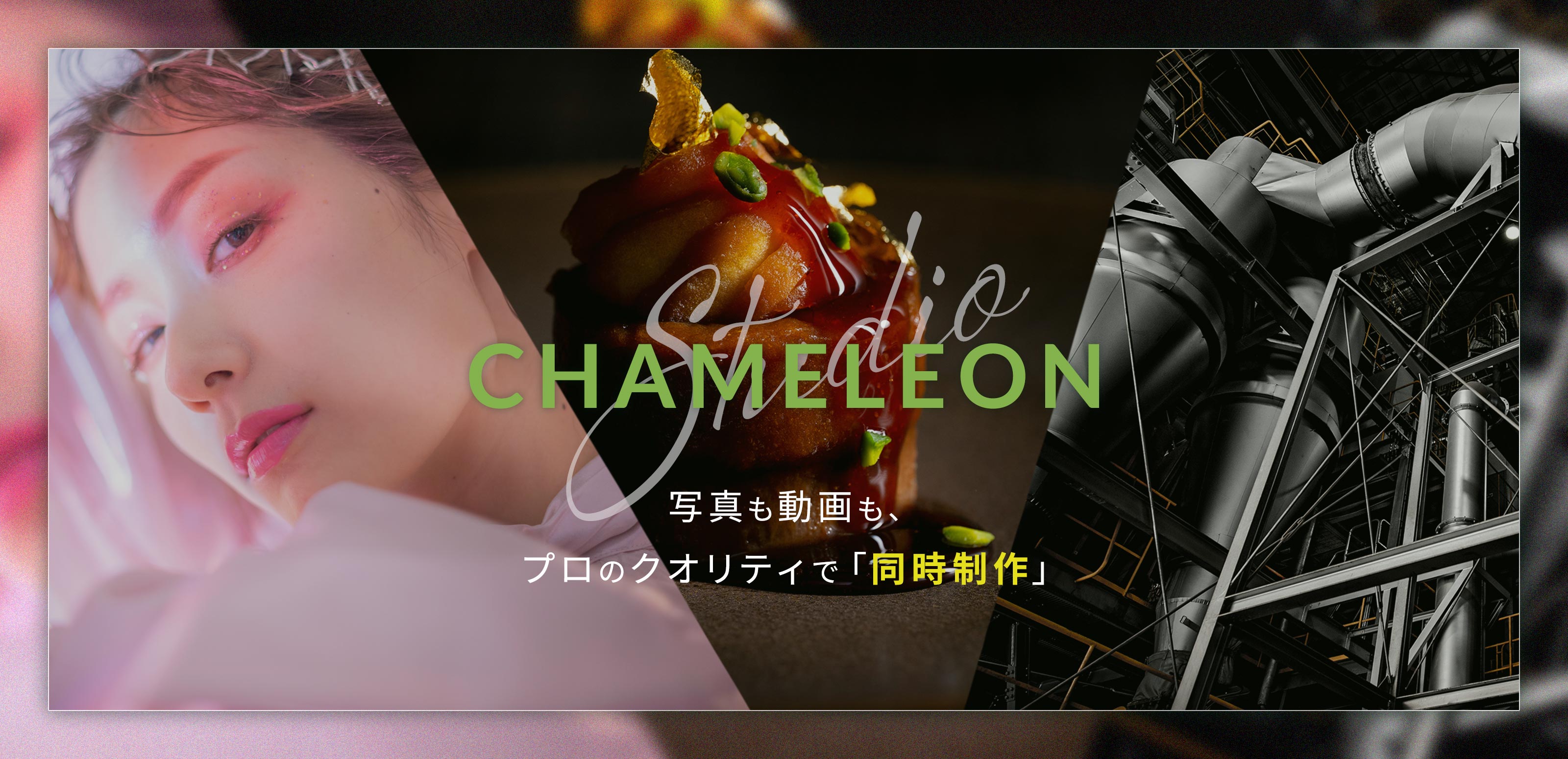 TOP - カメレオン