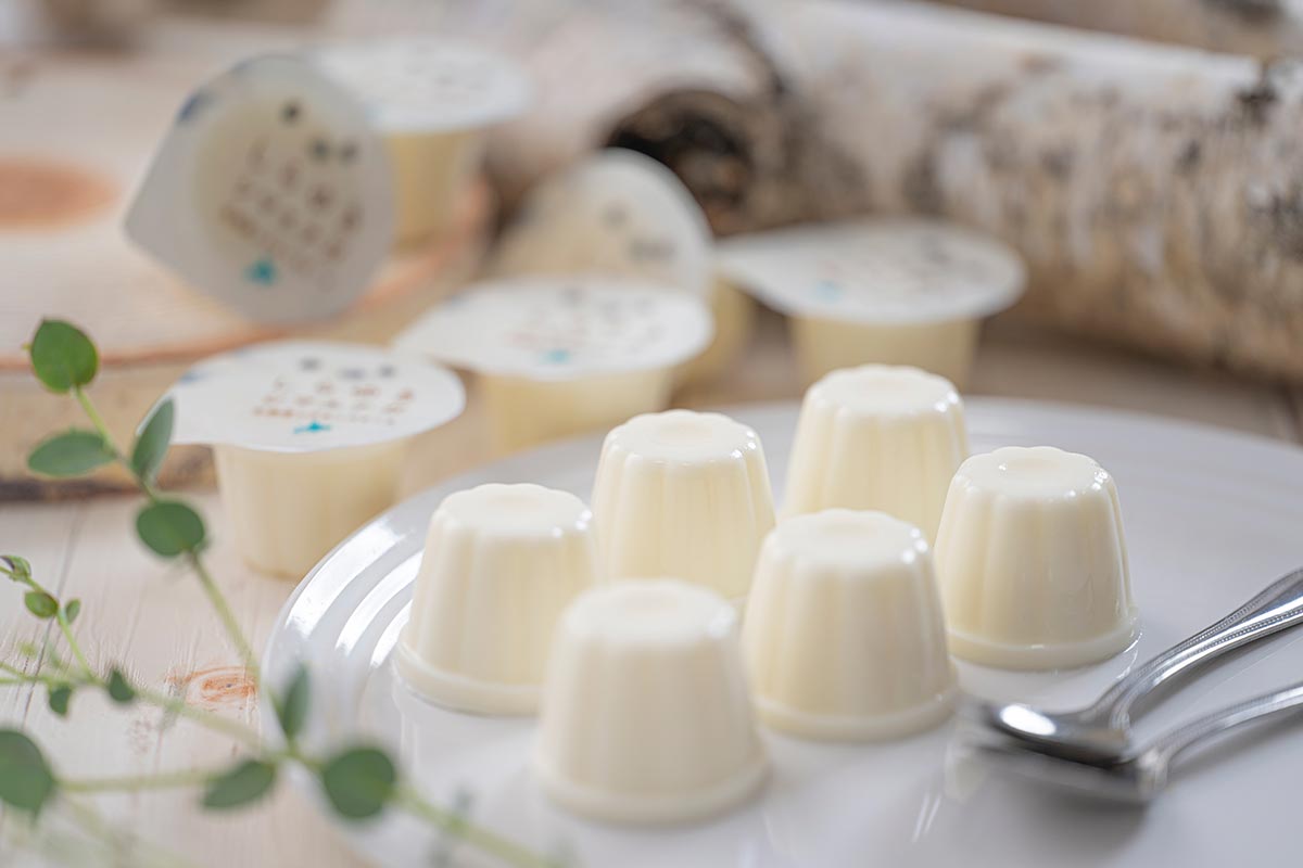 TOP - カメレオン