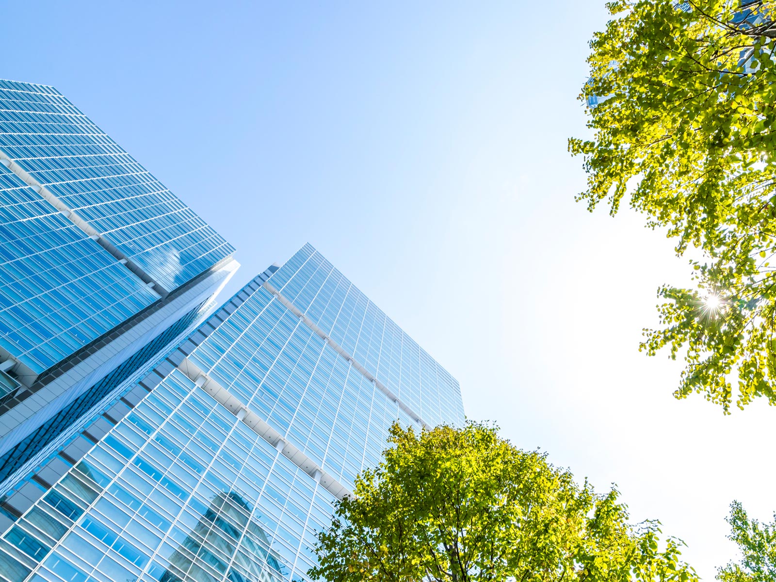 税理士事務所 - 大内敏之税理士事務所