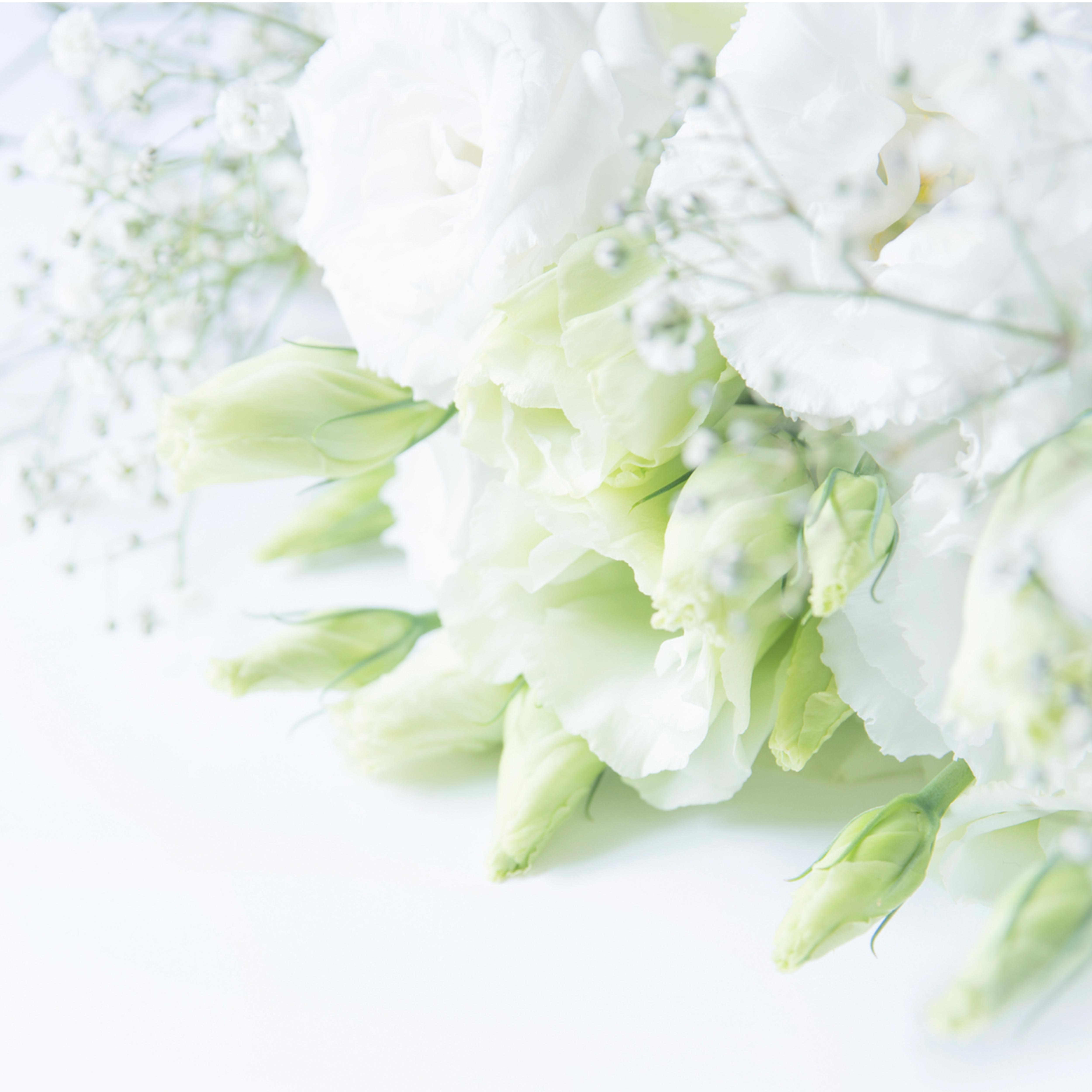 結婚相談所 - 七十七ヒューマンデザイン株式会社