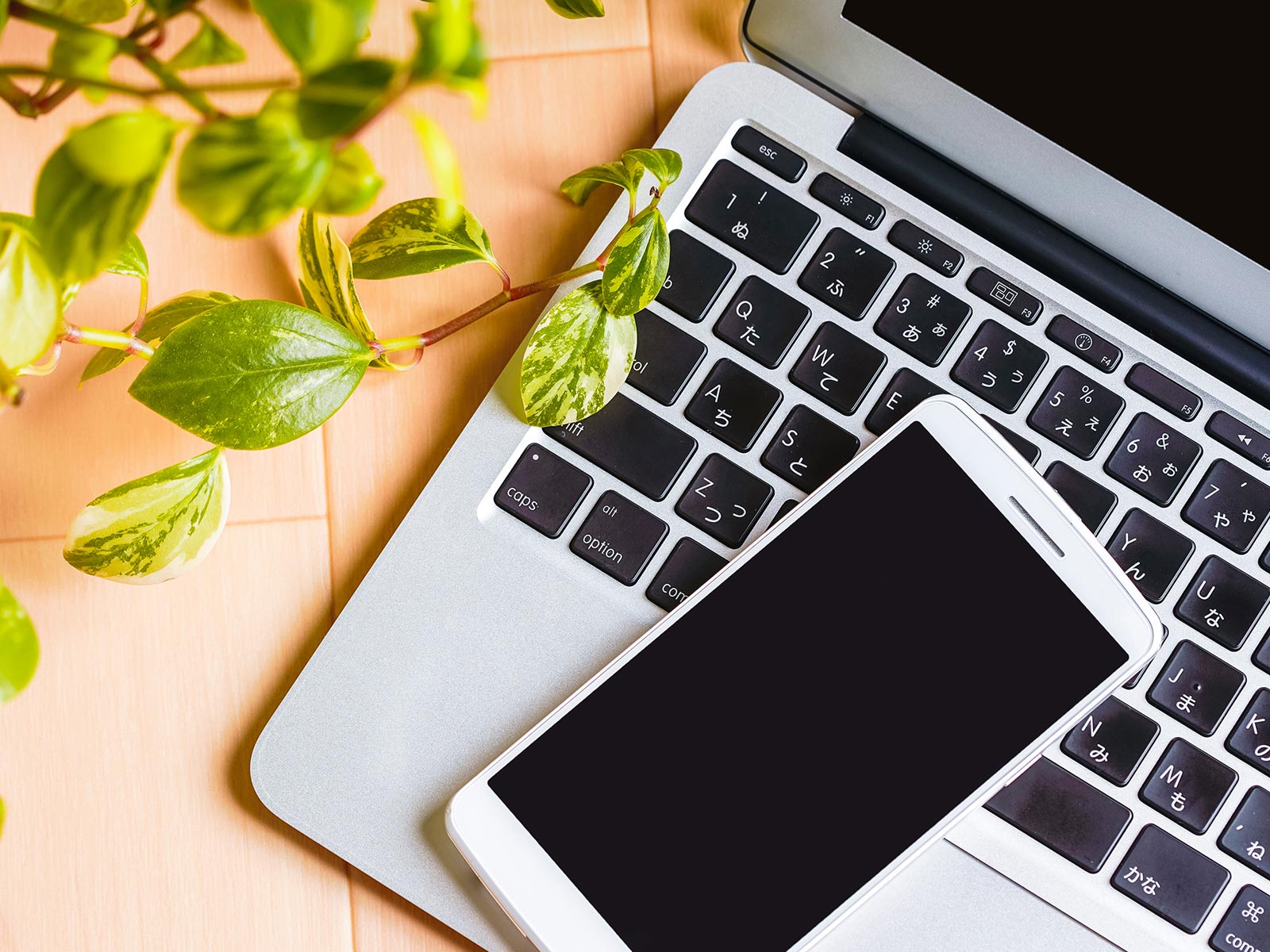 結婚相談所 - 七十七ヒューマンデザイン株式会社