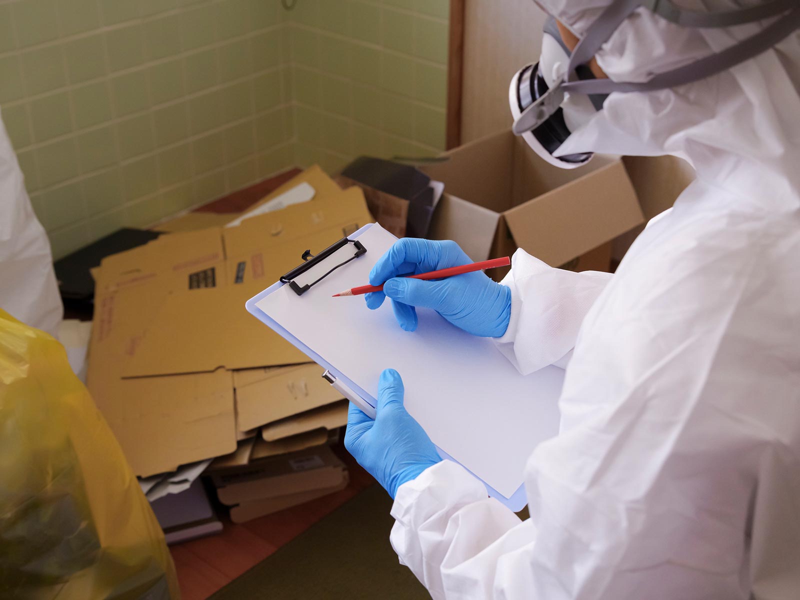 ハウスクリーニング - KOF