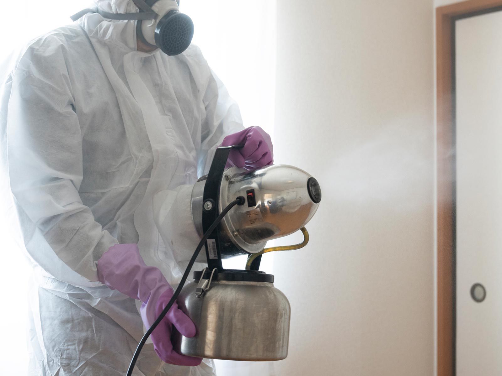 ハウスクリーニング - KOF