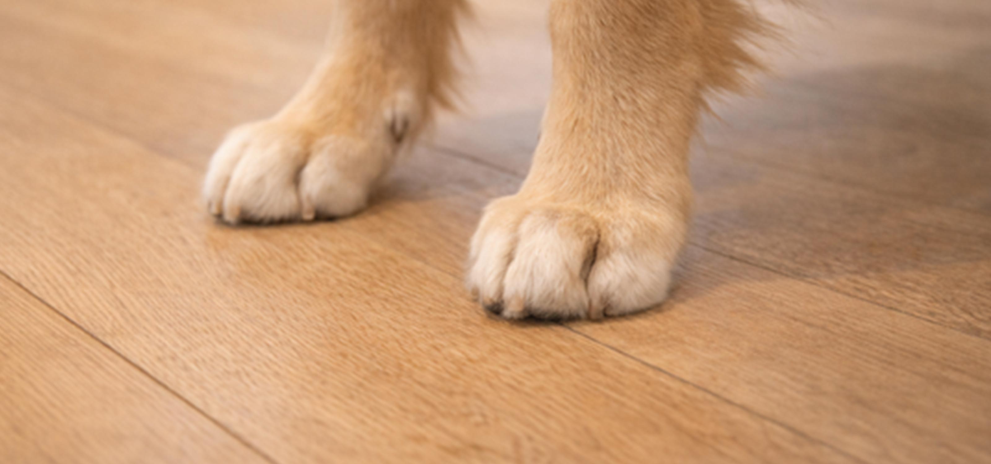 ペットリフォーム - 株式会社RE home