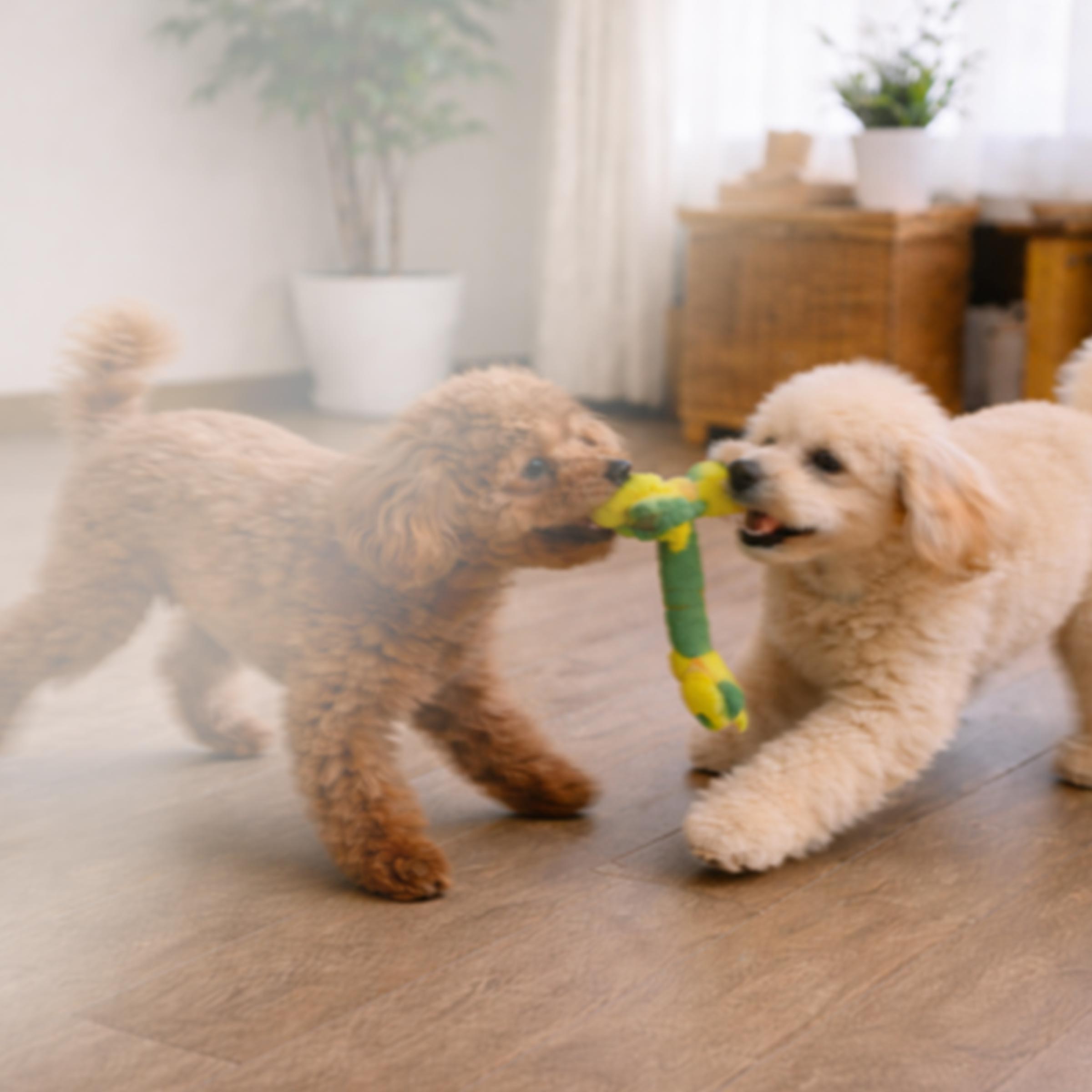 ペットリフォーム - 株式会社RE home