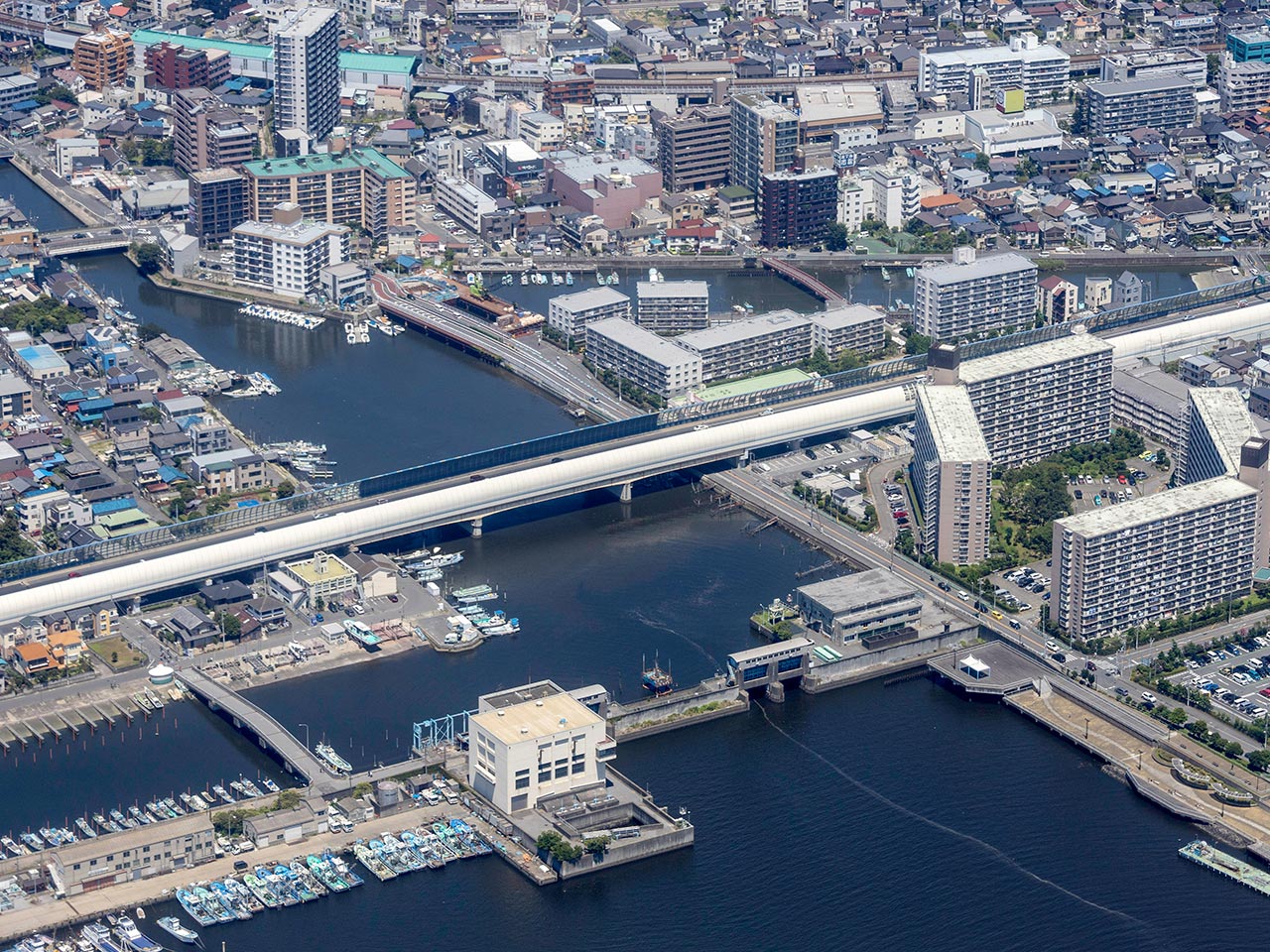 ペットリフォーム - 株式会社RE home