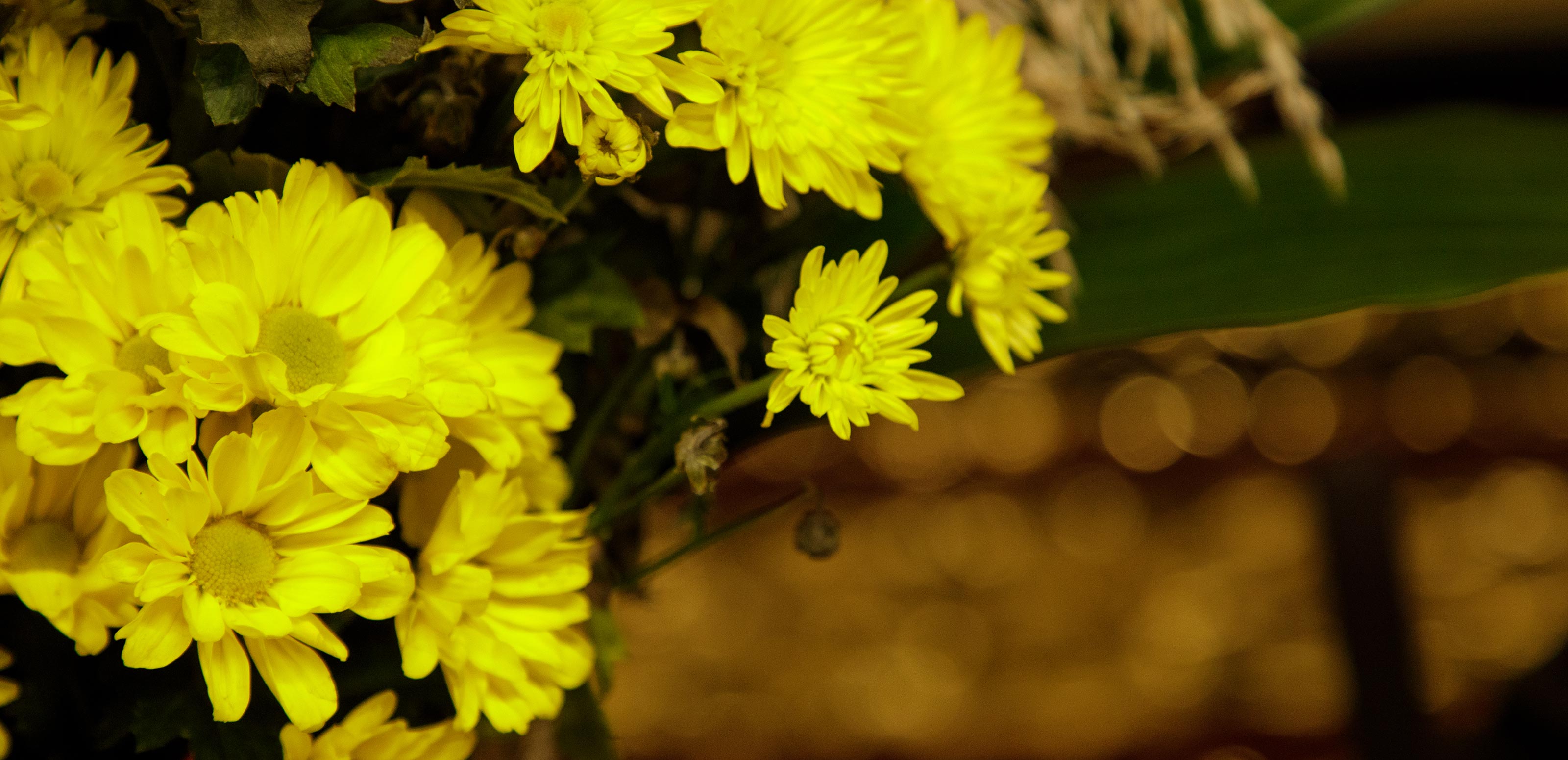 明善寺とは - 明善寺