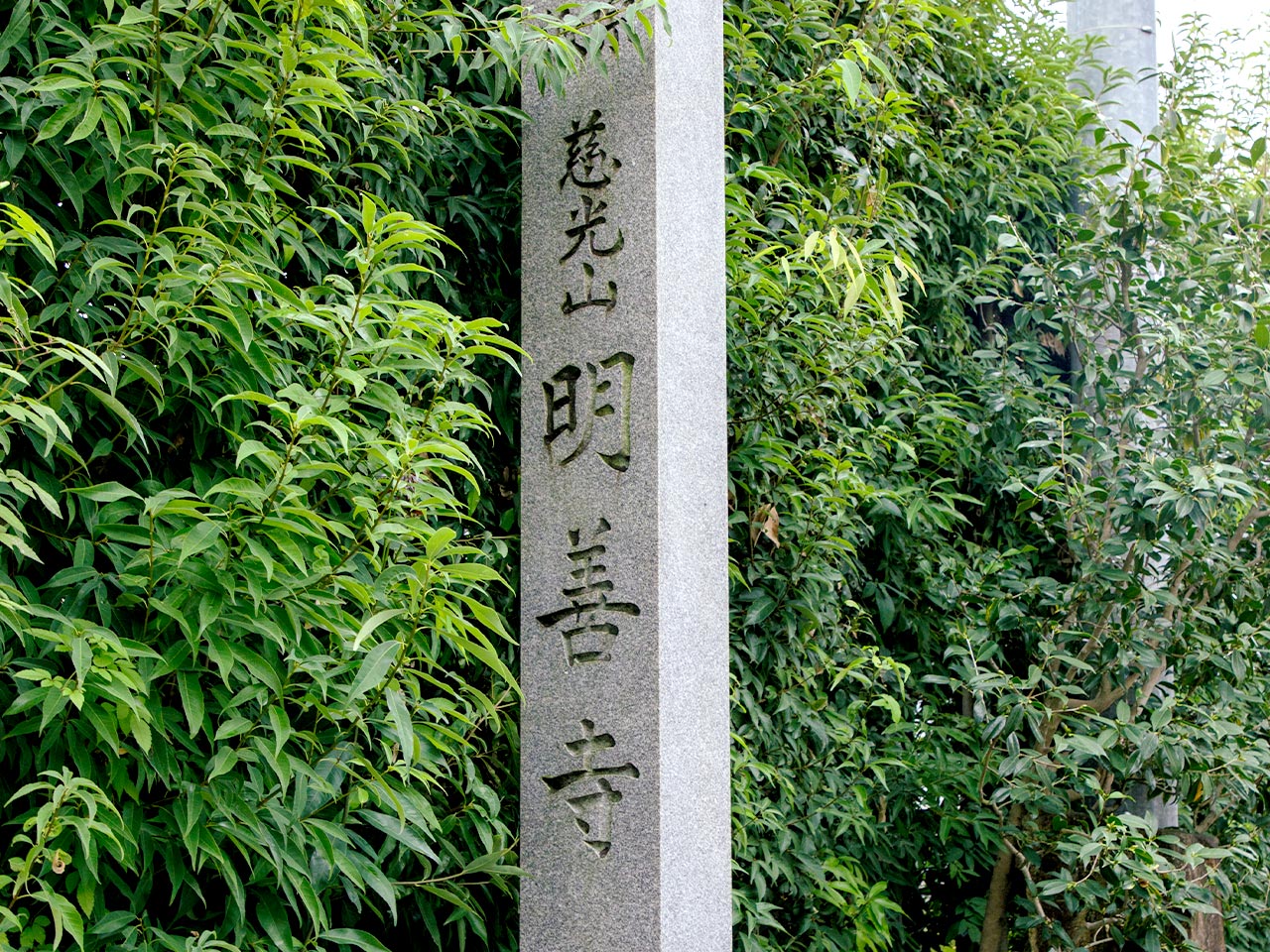 トップページ - 明善寺