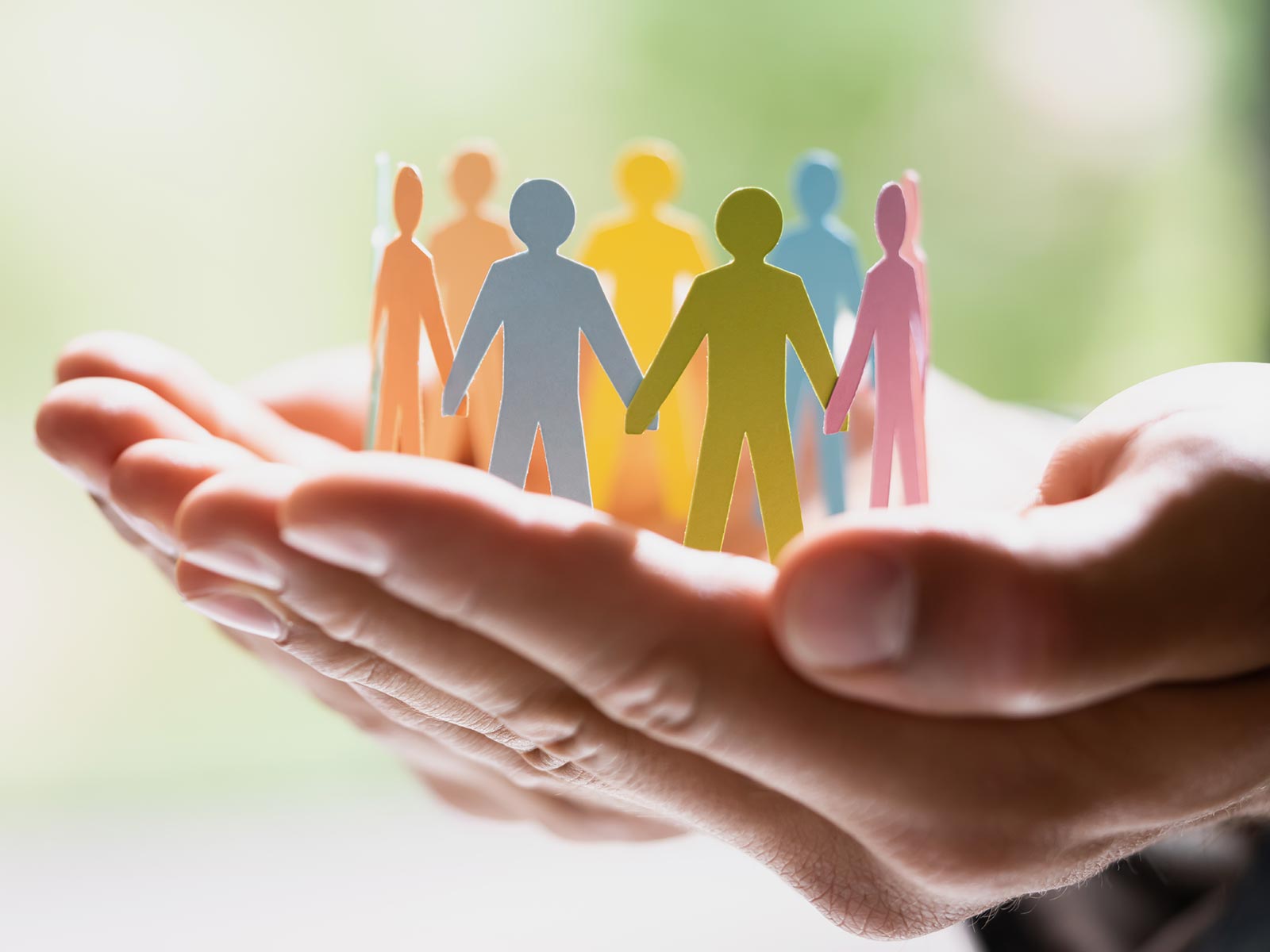 紙ものデザイン - 株式会社アプリオリ