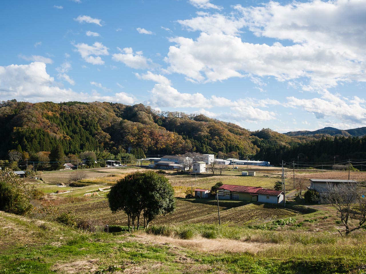 寺院紹介 - 宗教法人総徳寺
