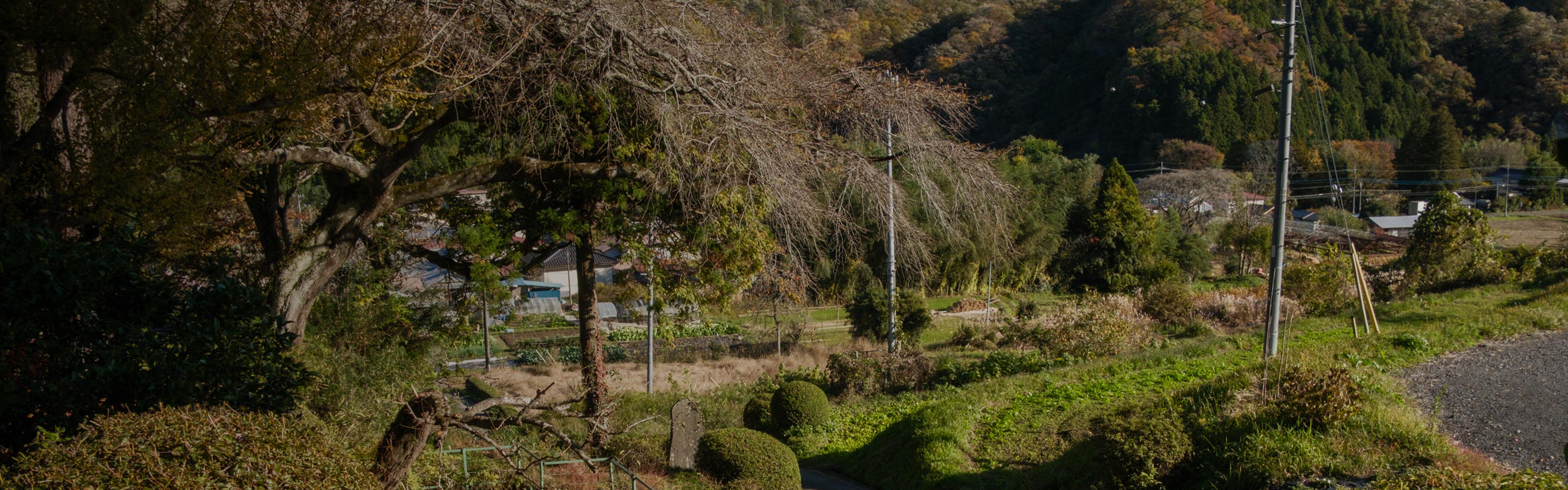 TOP - 宗教法人総徳寺