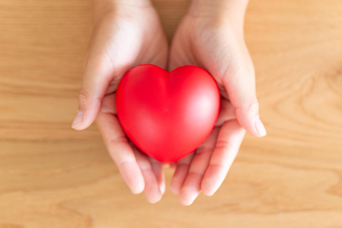 ビザ申請コンサル - 株式会社K・Lインターナショナル