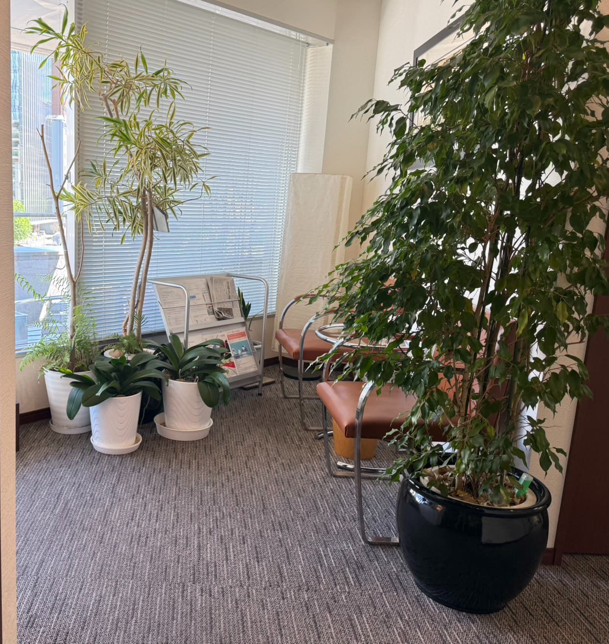 ビザ申請コンサル - 株式会社K・Lインターナショナル