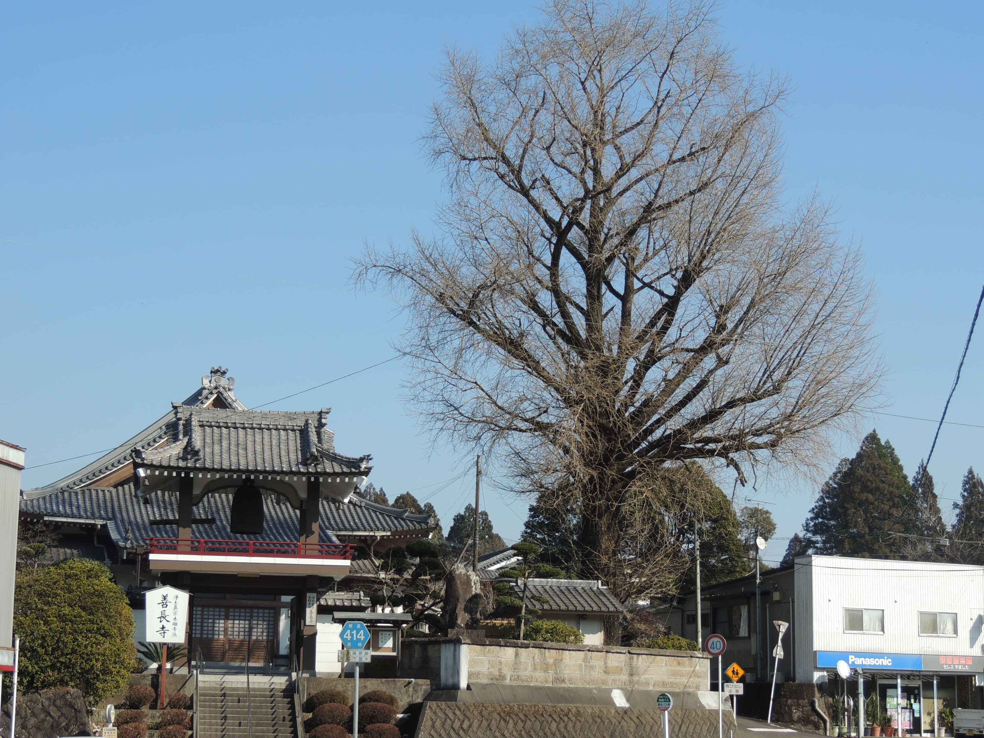納骨堂利用 - 宗教法人善長寺