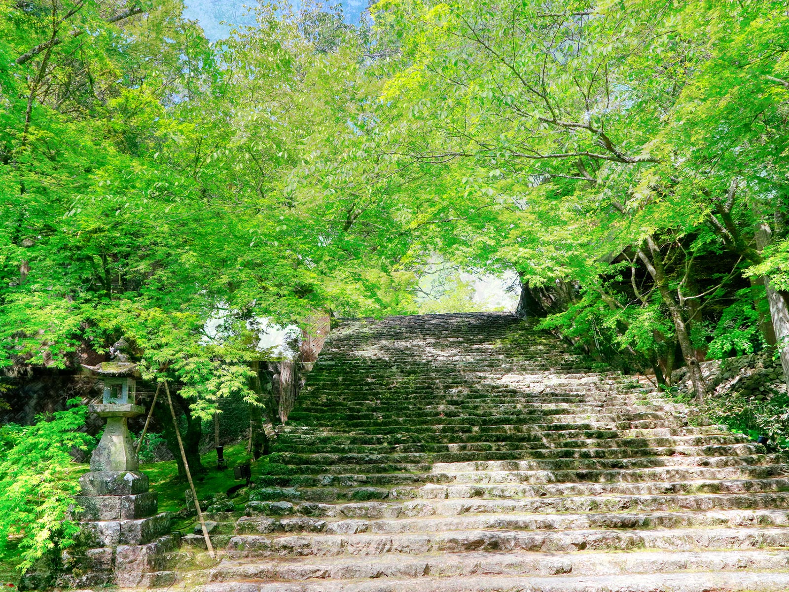 お寺の歴史 - 宗教法人善長寺