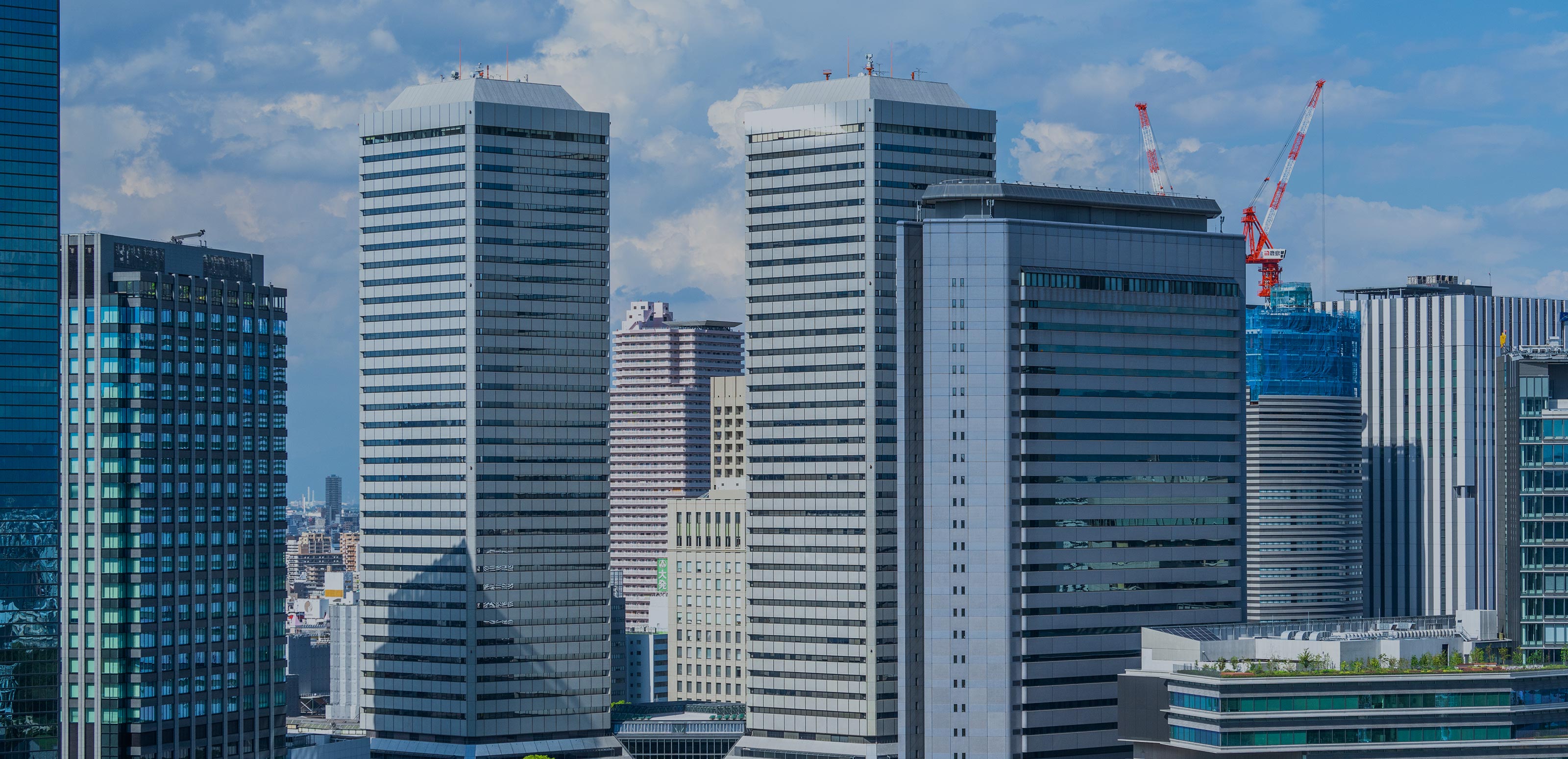 TOP - ひらけん行政書士事務所